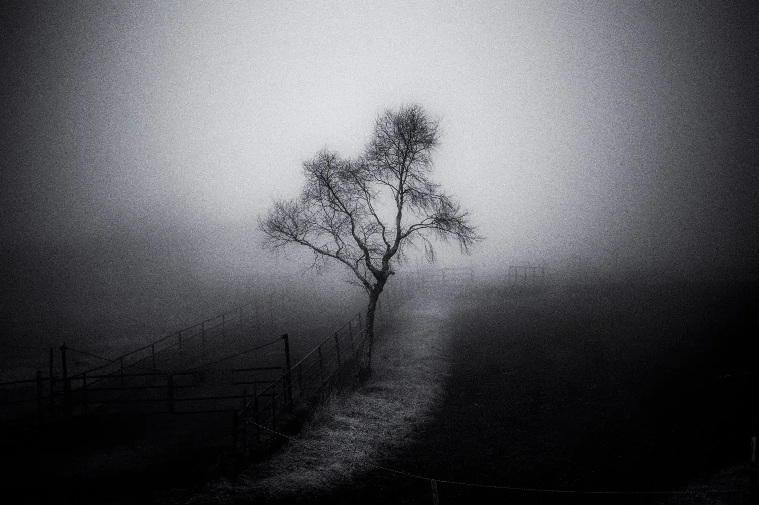 Yatsugatake: waiting for spring /3