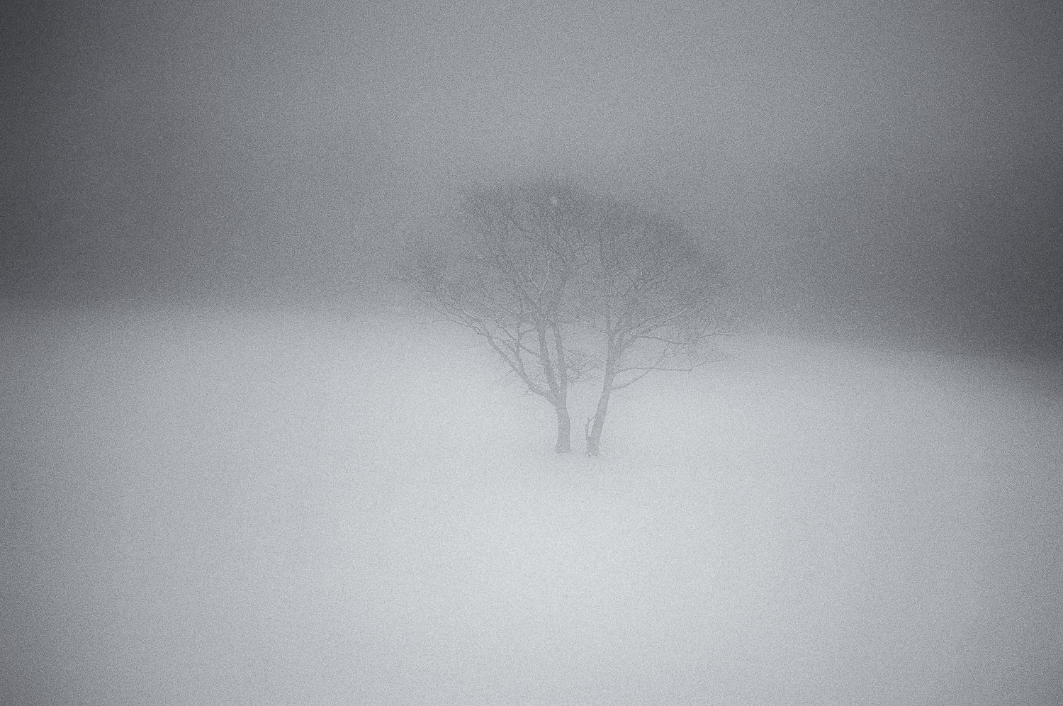 spring snow