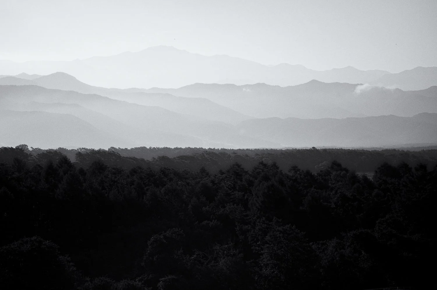 morning haze