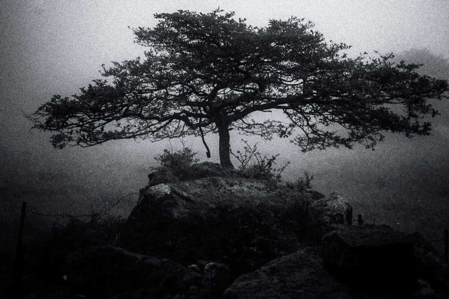 Yatsugatake: spreading my wings