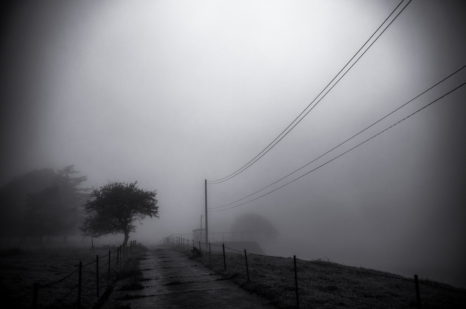 quiet path