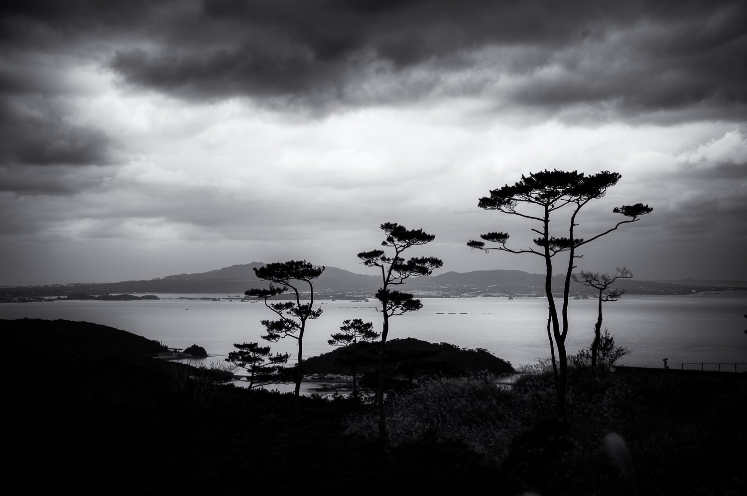 Ogimi, Okinawa (4)