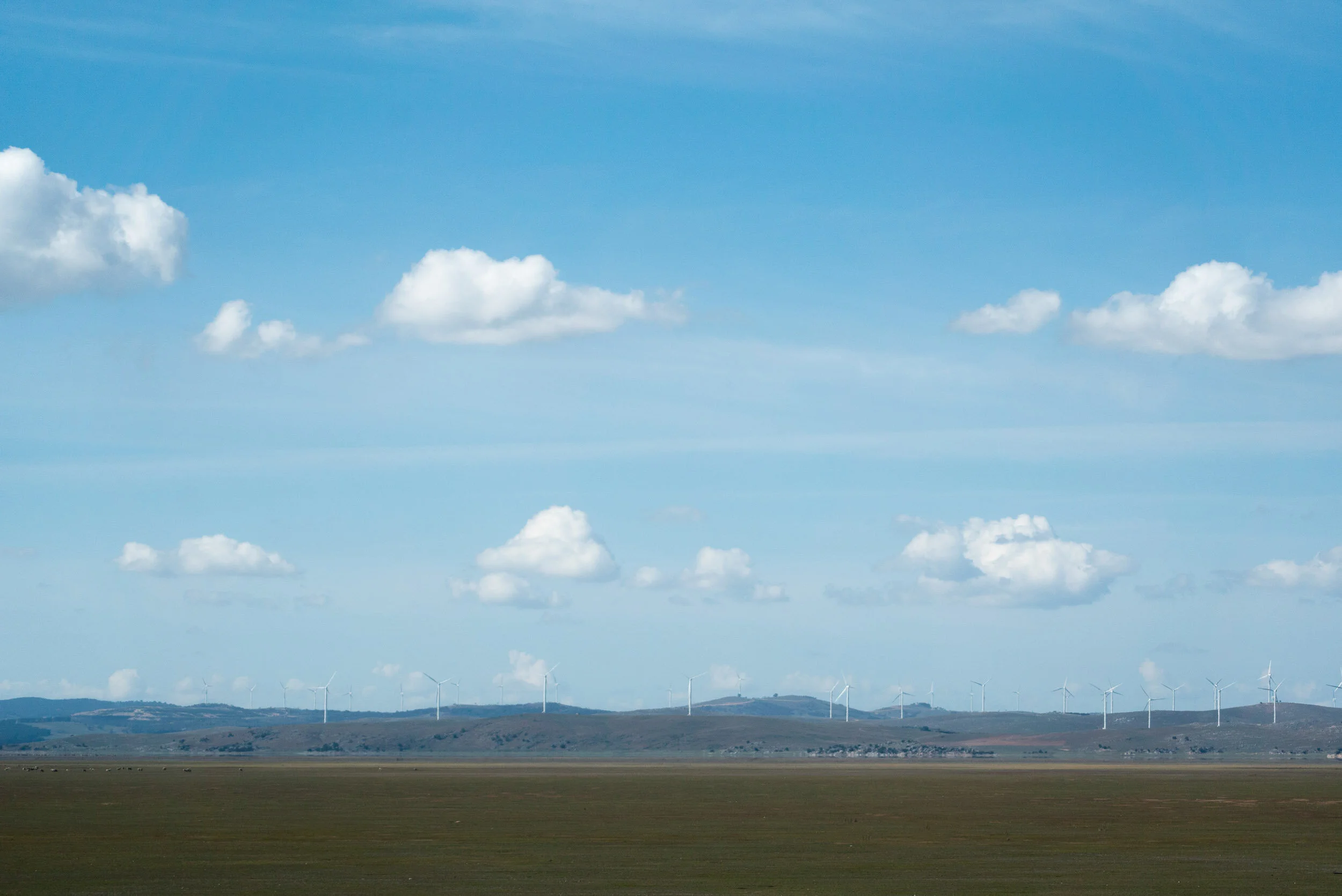 April 2019-8006.jpg