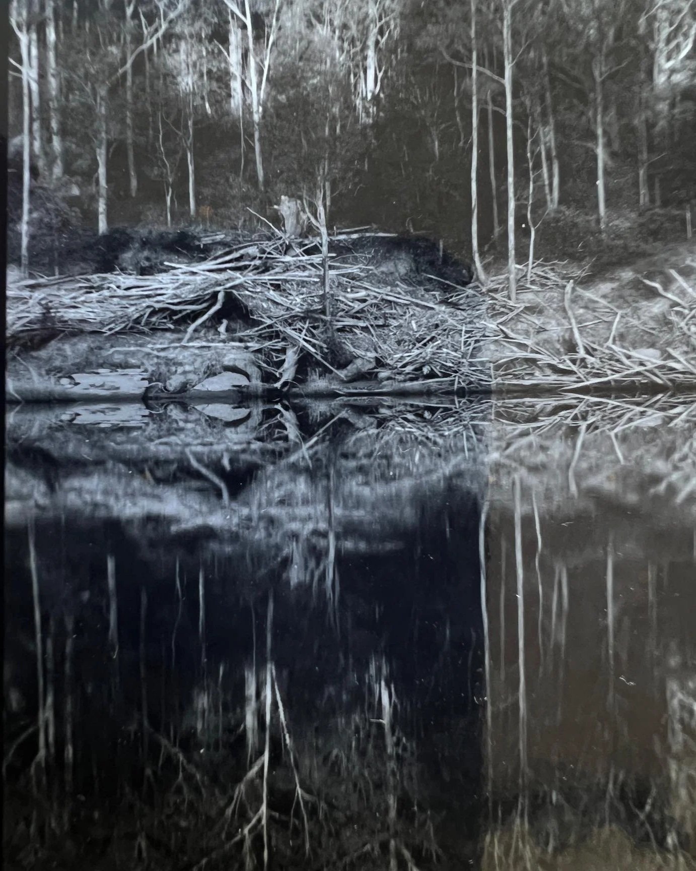 6ADF8E9C-8CA0-4E72-9705-595406CD15D9.jpg