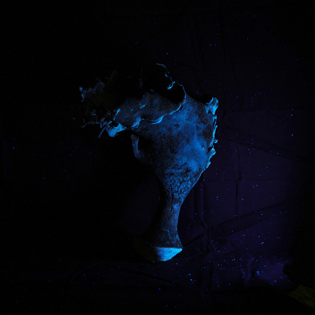 _DSF6738.png
