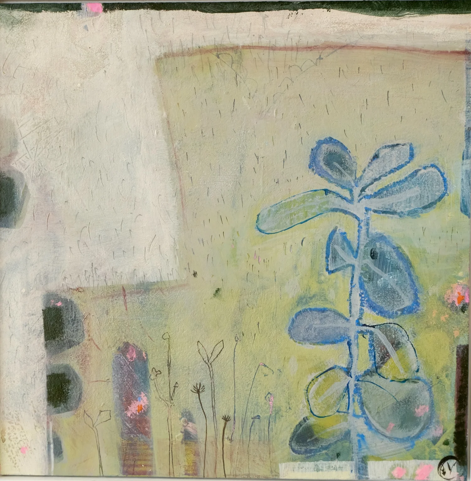 shirley-vauvelle