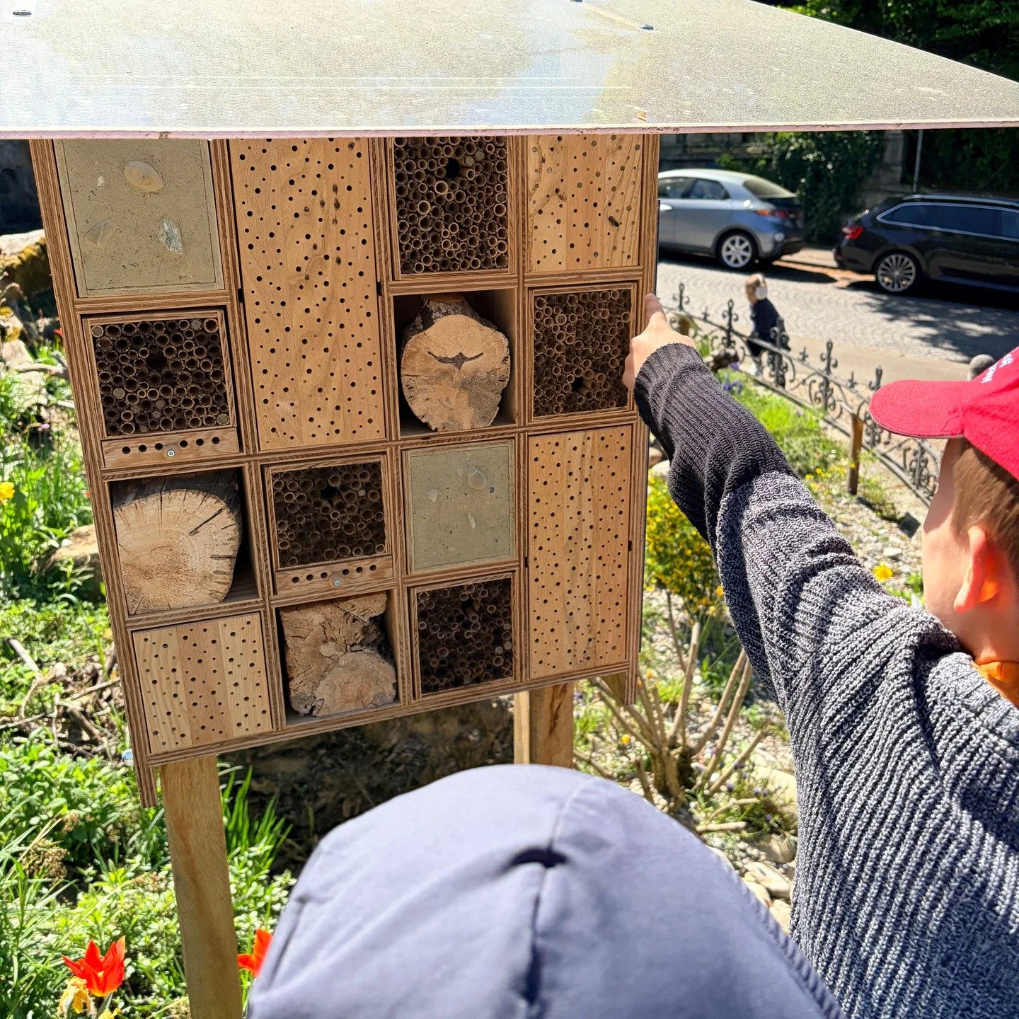 🌍🌱 Last Wednesday was an important day &ndash; Earth Day. We took it as an opportunity to learn more about nature and how we can protect it. And with the beautiful weather and Zurich in full spring mode, what better way than a nature walk? 💚 
 
We