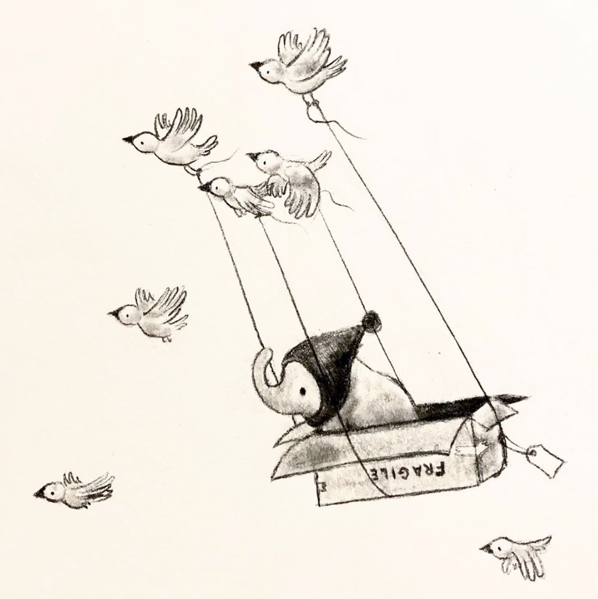 Francois flying .png