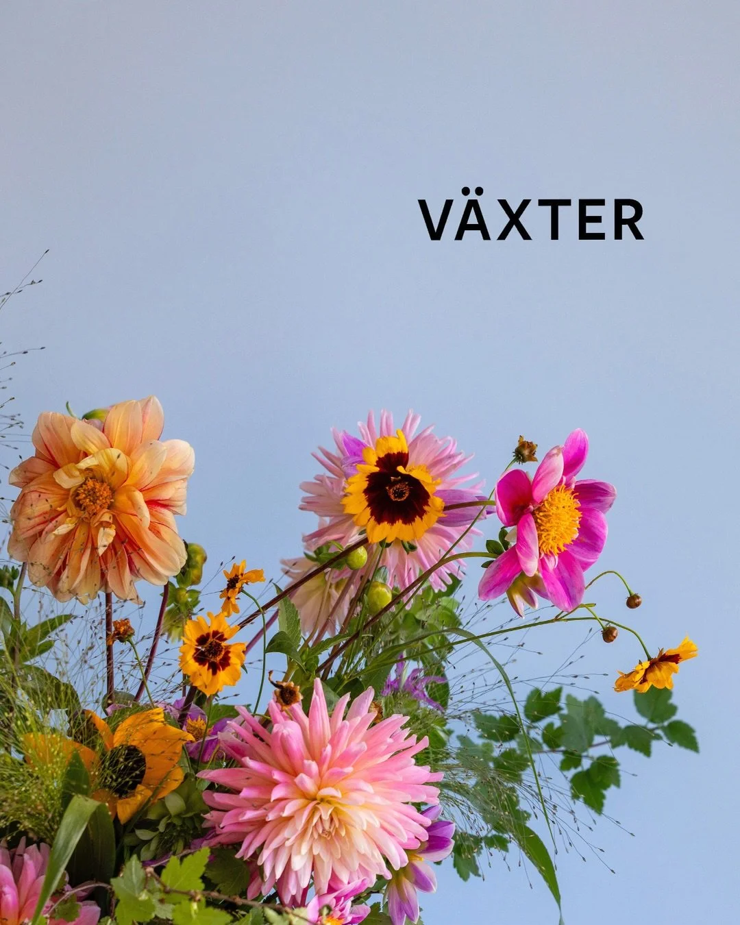 S&Auml;LJ MED STIL - BOKEN MED INTERI&Ouml;RA TIPS F&Ouml;R DITT HEM 🏠🤍💫
F&ouml;r dej som ska
💫 S&auml;lja din bostad
💫 Hyra ut din bostad
💫 Flytta hemifr&aring;n
💫 Beh&ouml;ver inspiration inf&ouml;r f&ouml;rnyelse hemma

Med tillsammans 30 &