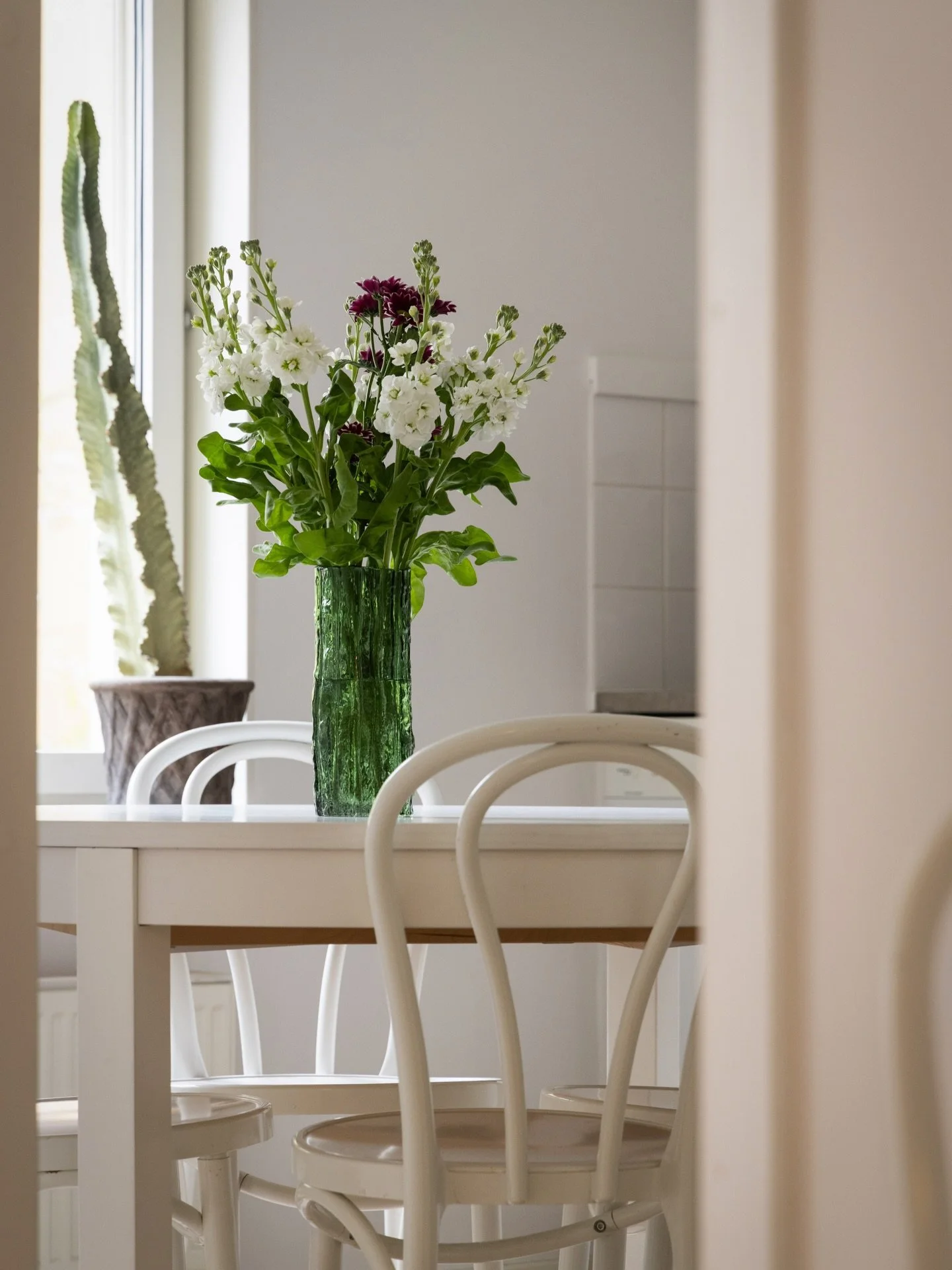 &Ouml;glanstolarna🤍🤍🤍
De v&auml;lvda formerna fr&aring;n de klassiska IKEA-stolarna skapade mycket form och perspektiv i dessa bilder fr&aring;n Peter Myndes Backe. Jag tar med lite av stolarna i f&ouml;rgrund f&ouml;r att skapa perspektiv genom r