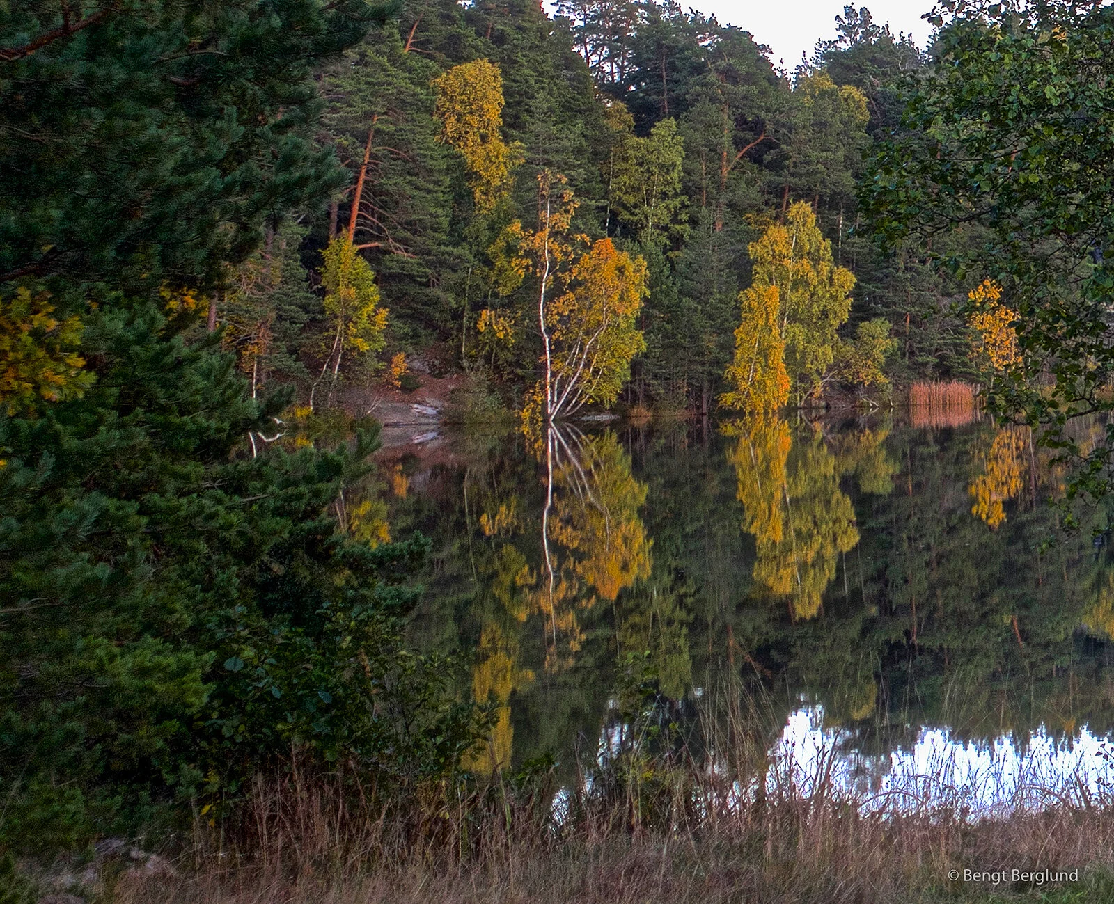 Gunnar 2-8.jpg