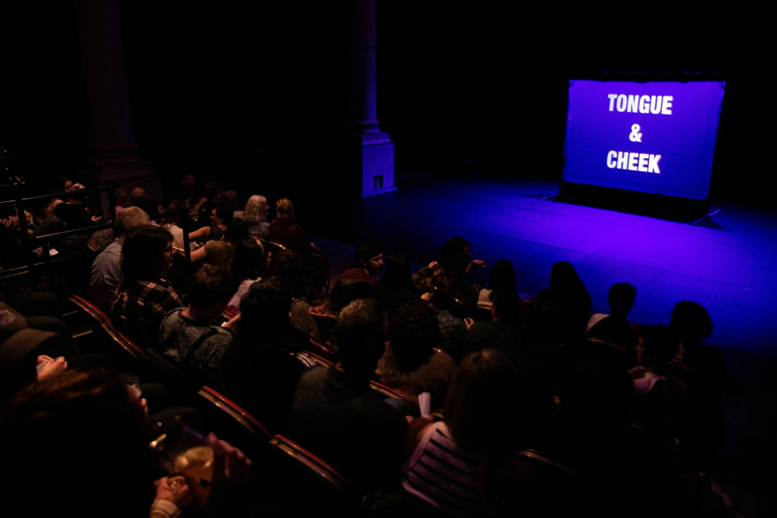 Chaz 2024 Circomedia.jpeg