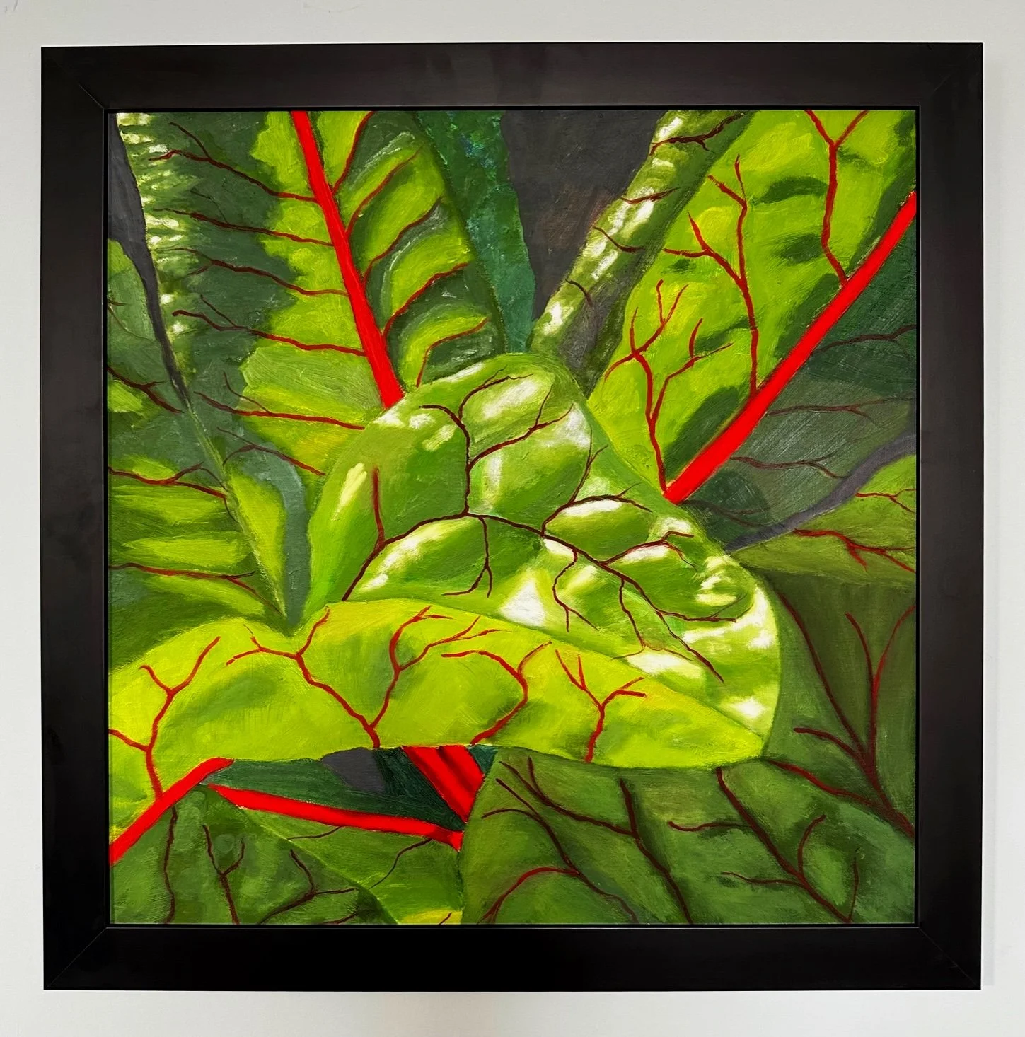 Swiss Chard | Oil on board | 58x58 cm framed | For sale   £650