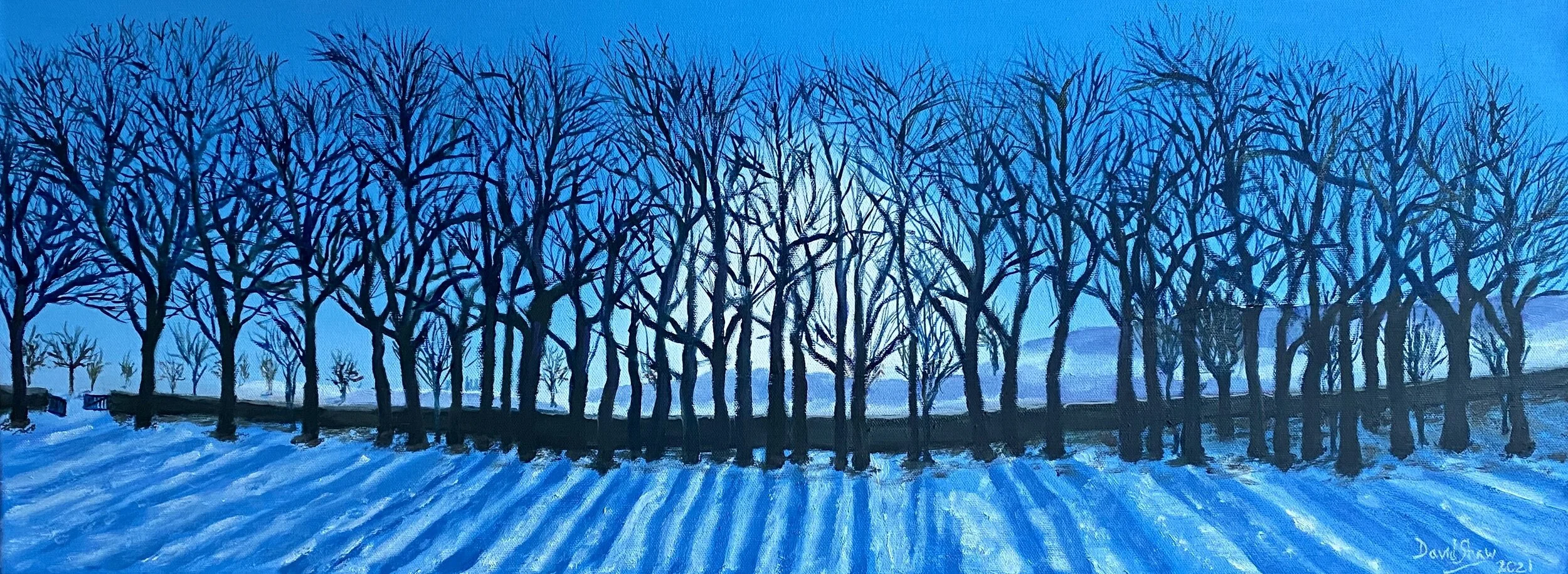 Winter Sun, Murrayfield Golf Course | Oil, 80x30cm box canvas | Sold