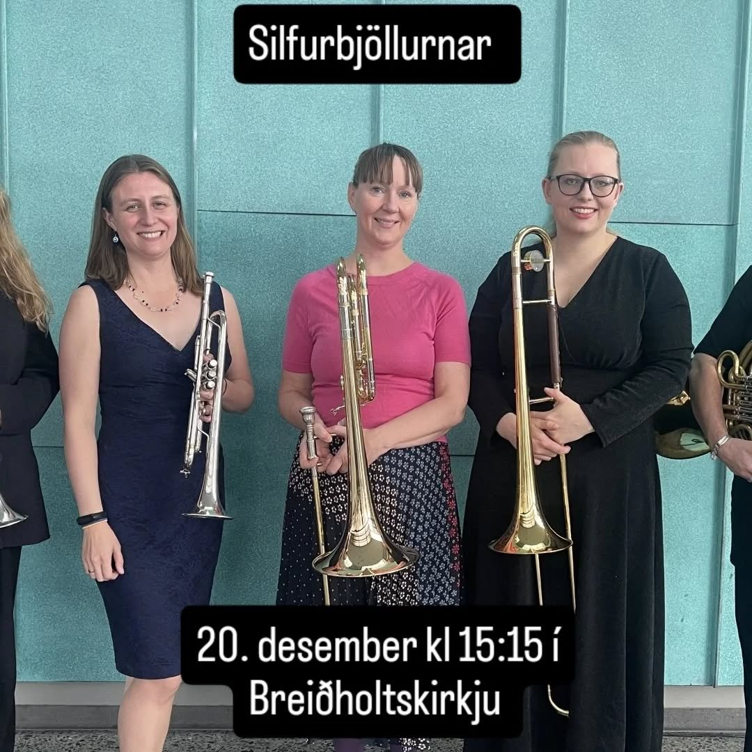 Undanfarin &aacute;r hafa Silfurbj&ouml;llurnar skapa&eth; mikla j&oacute;lastemningu &aacute; &yacute;msum st&ouml;&eth;um &aacute; h&ouml;fu&eth;borgarsv&aelig;&eth;inu &thorn;egar l&iacute;&eth;a fer a&eth; j&oacute;lum - en 20. desember kl. 15:15