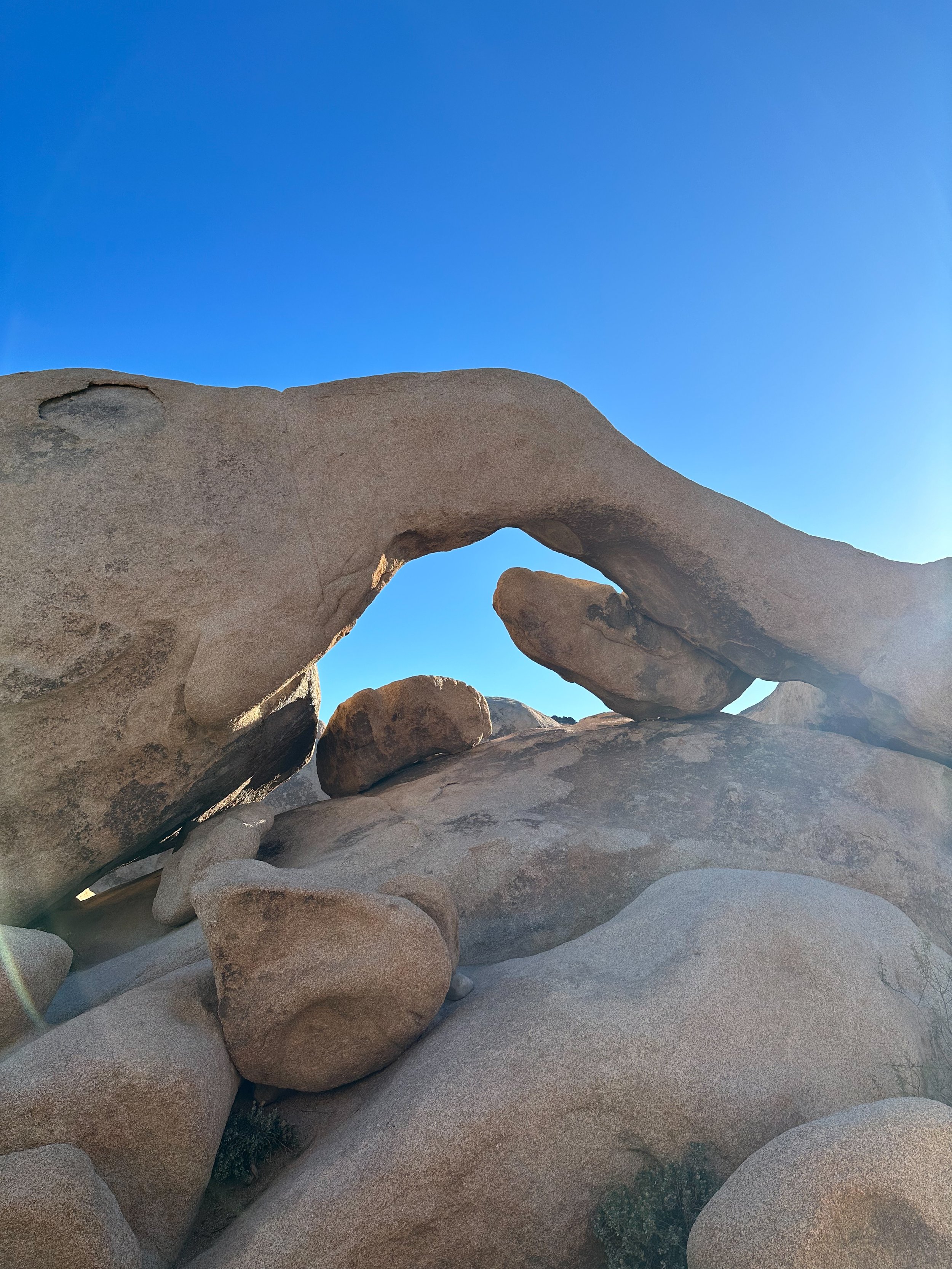 06 Arch 4.jpg