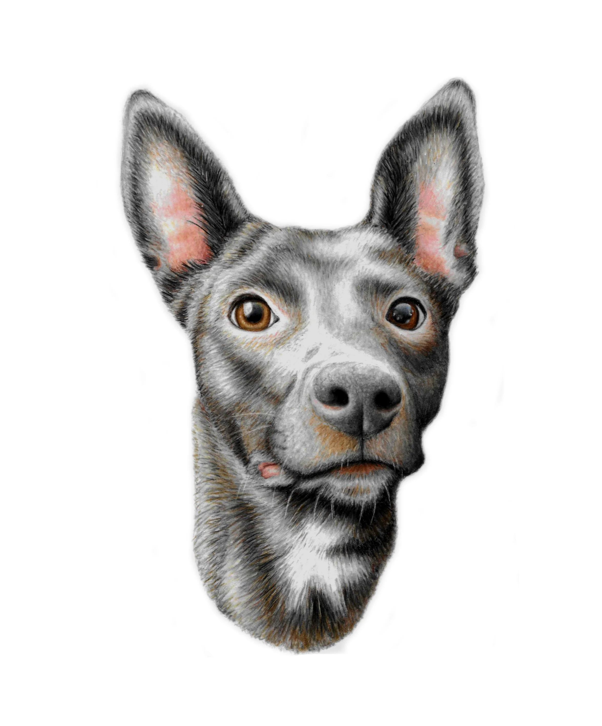 koda commission ig2.jpg