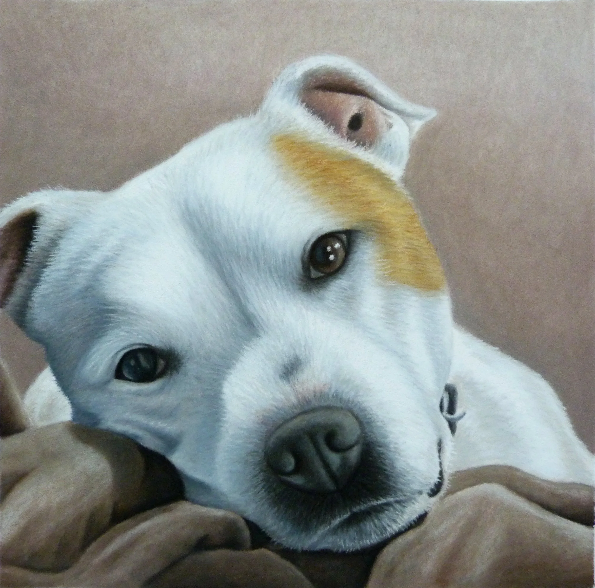 darcy portrait.jpg