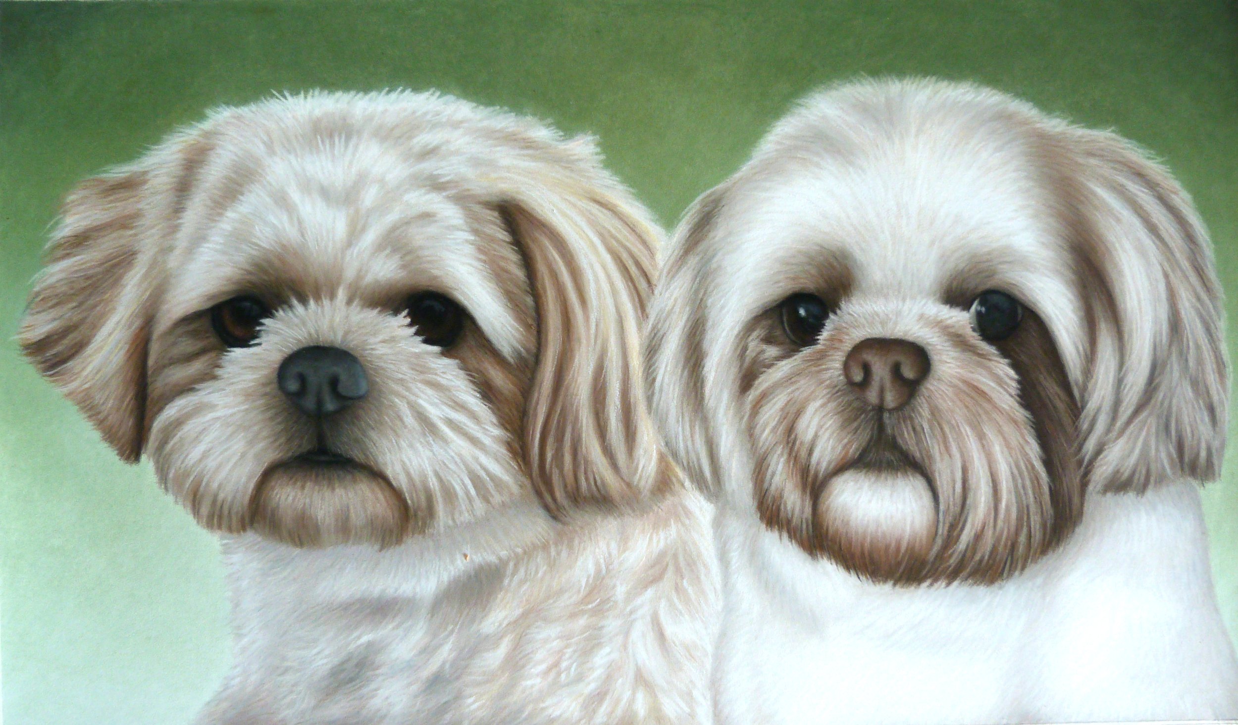 buddy+holly portrait.jpg