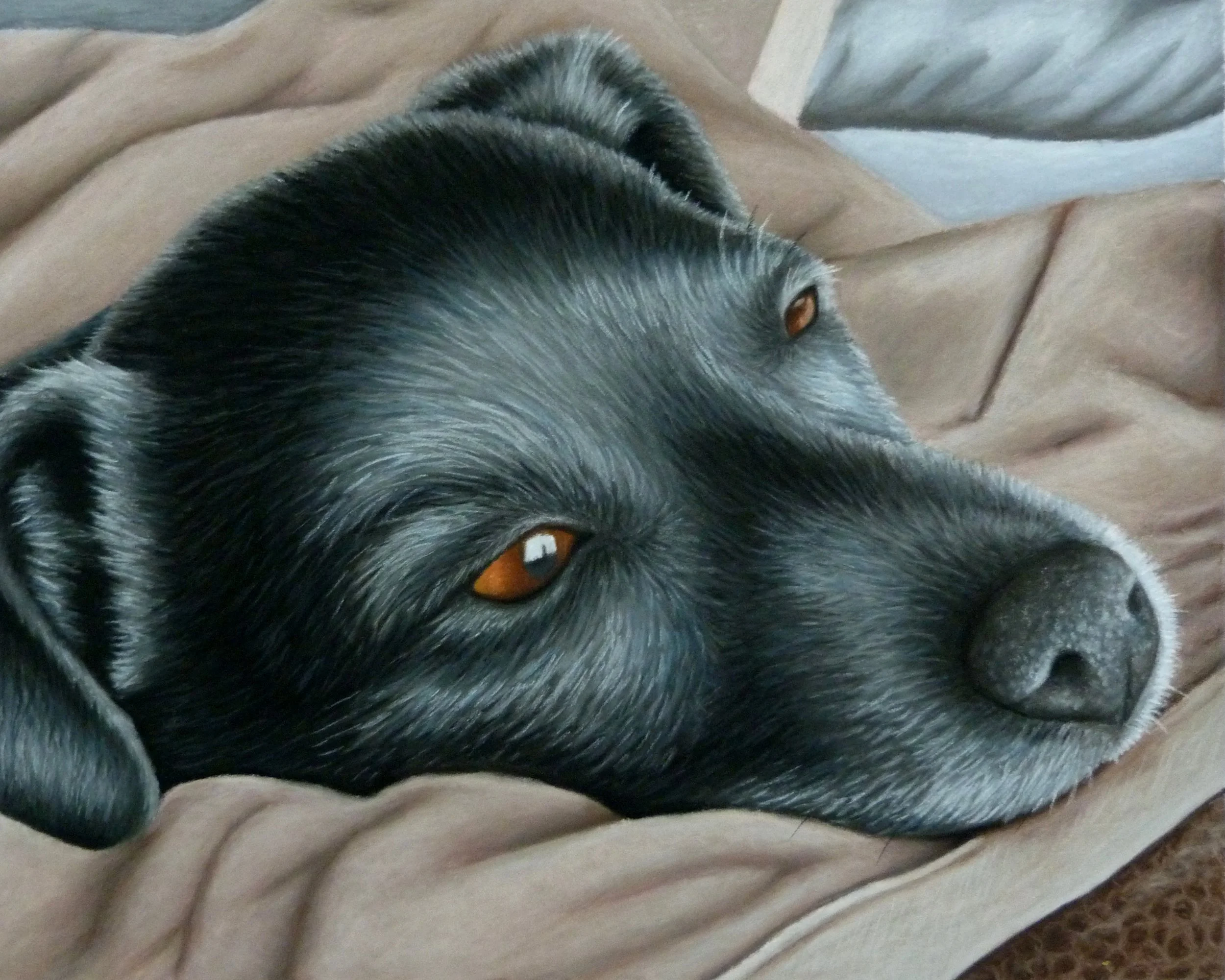 digit portrait.jpg