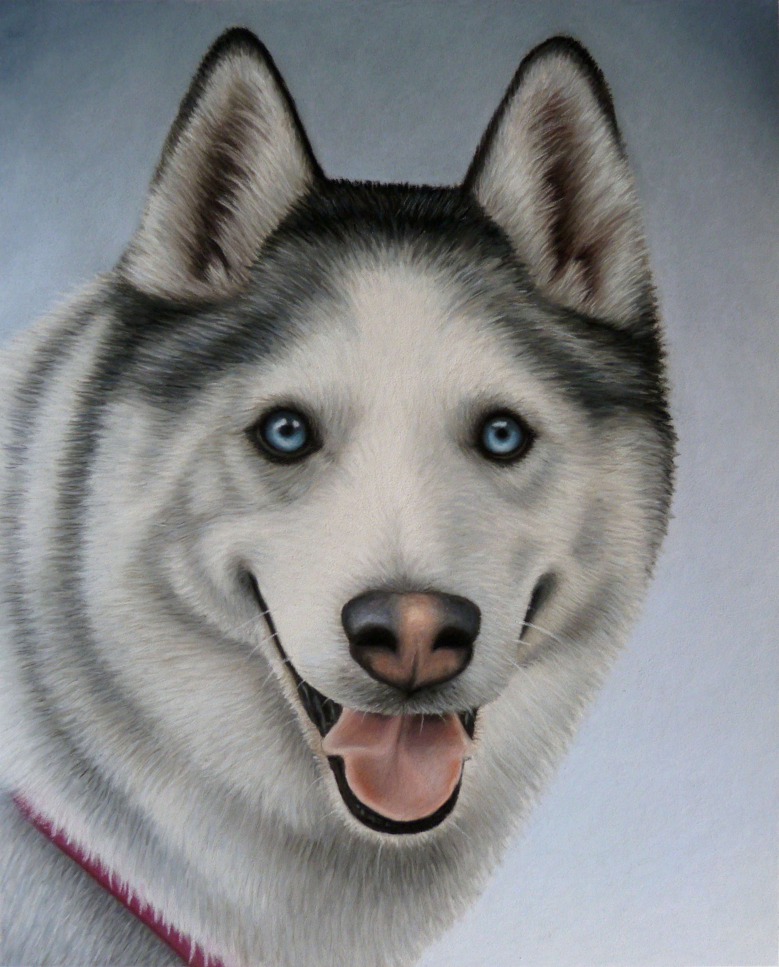 Nala portrait.jpg