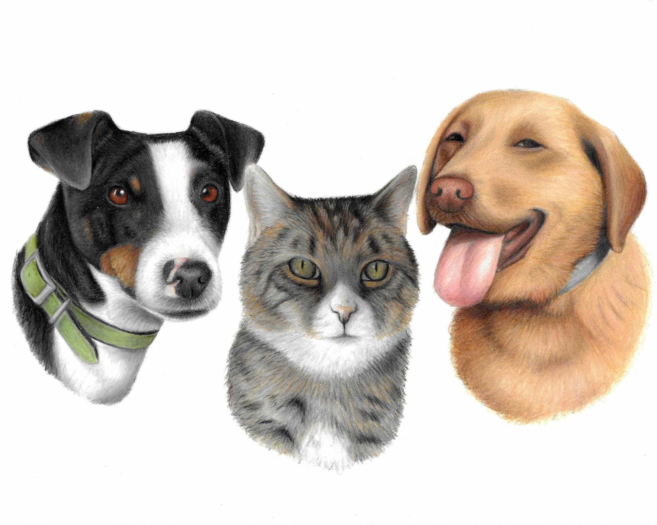 emer drawing edited.jpg