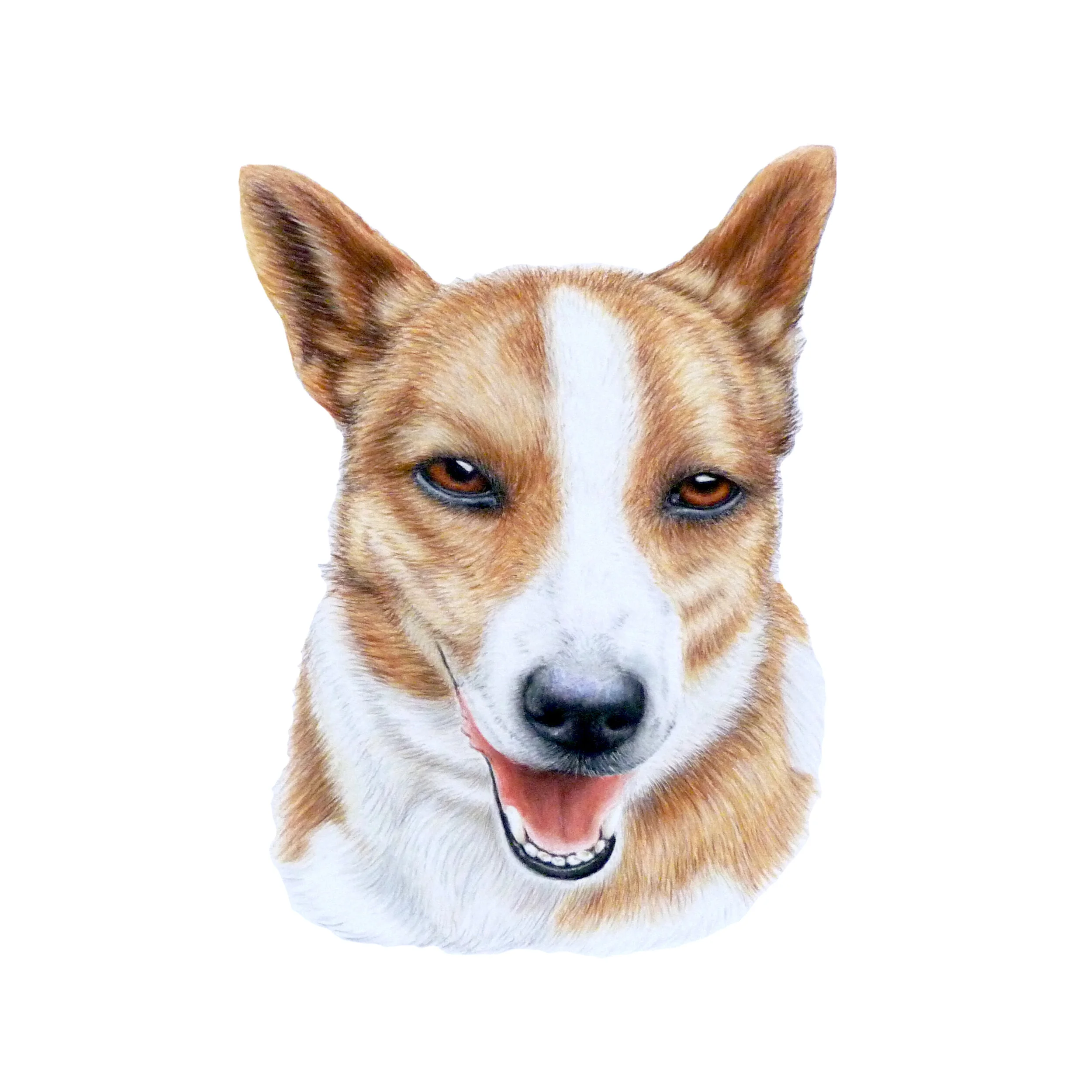 tracey commisison 2.jpg