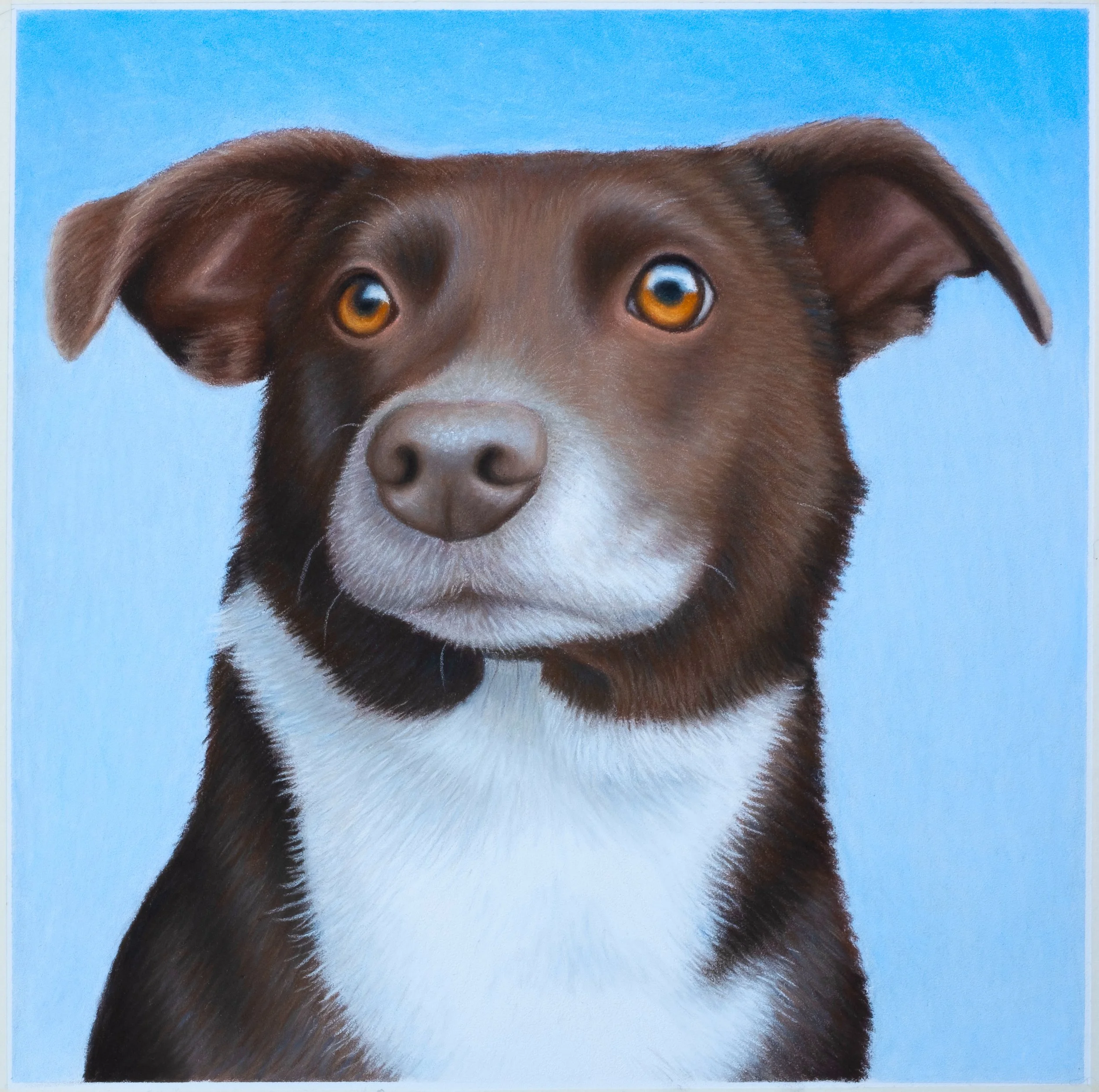 Cooper drawing 1.jpg