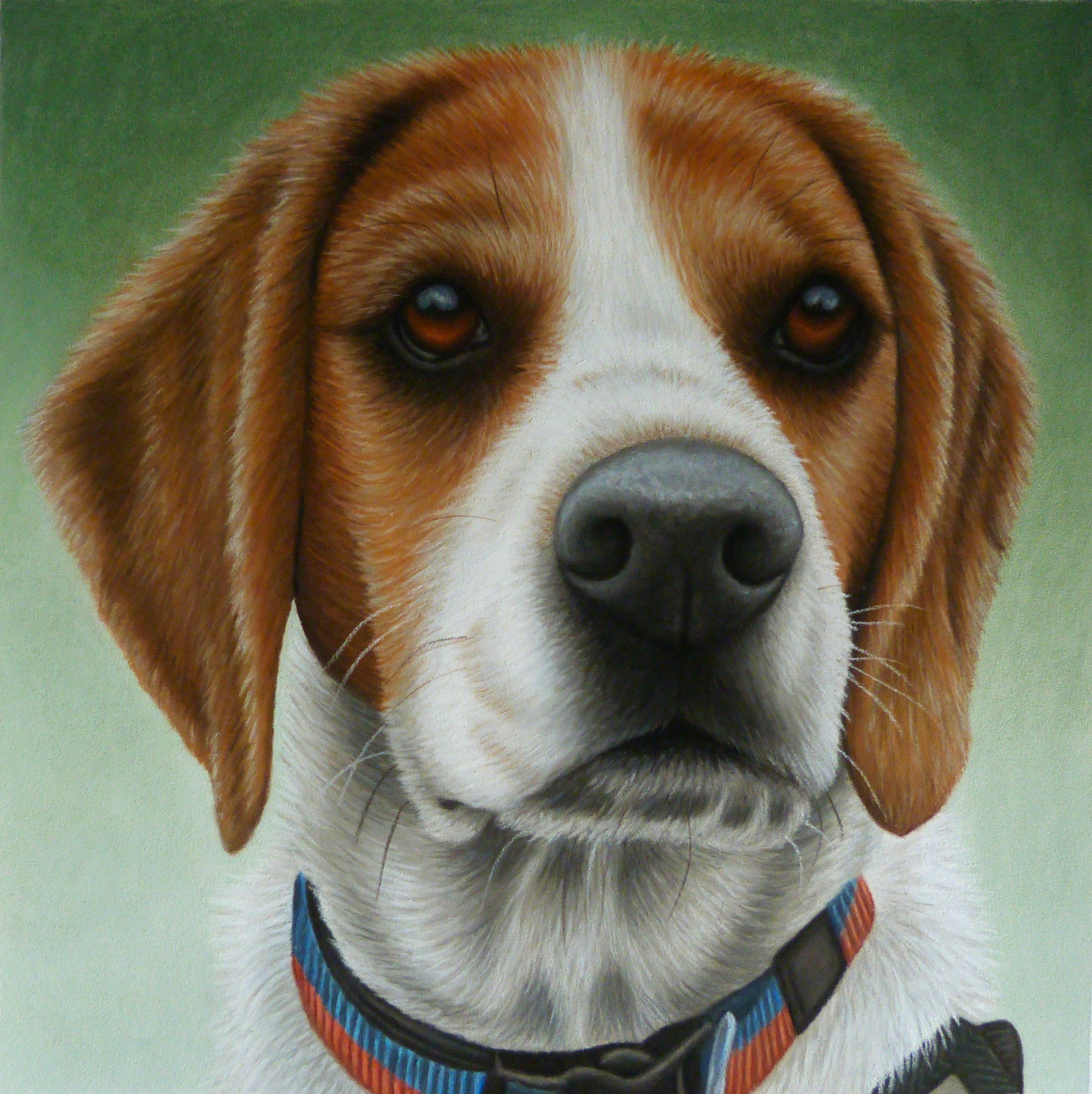 Baxter portrait.jpg