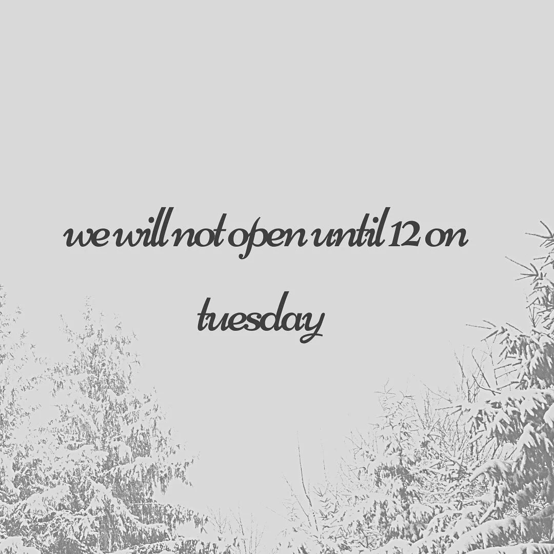 For the safety of our staff and clients we will be delaying our opening until 12 noon tomorrow! Please email or DM if you have questions, if you have an early appointment we will be in touch. Let&rsquo;s stay safe Pittsburgh xo