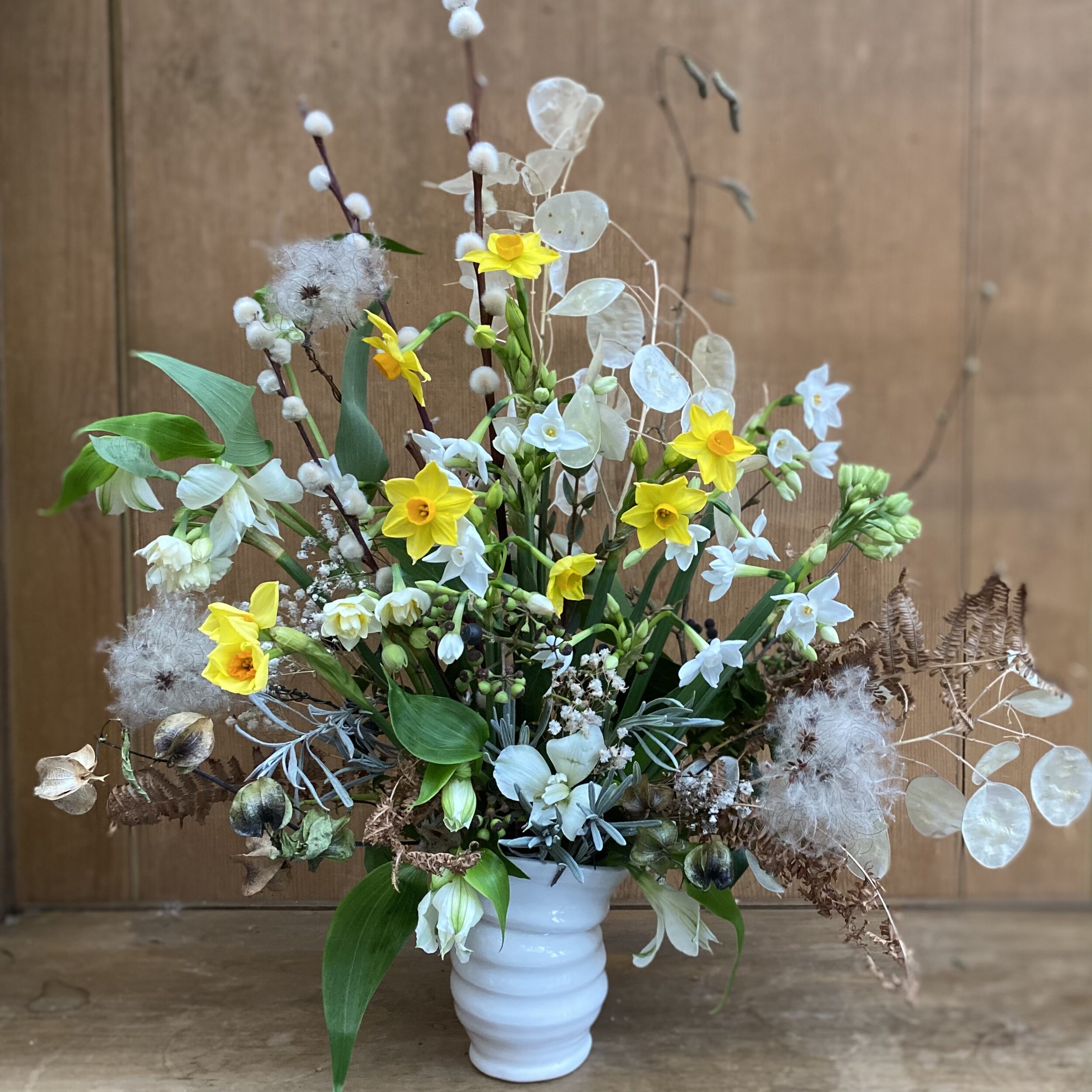 Winter joy of the first daffodils and Narcissi