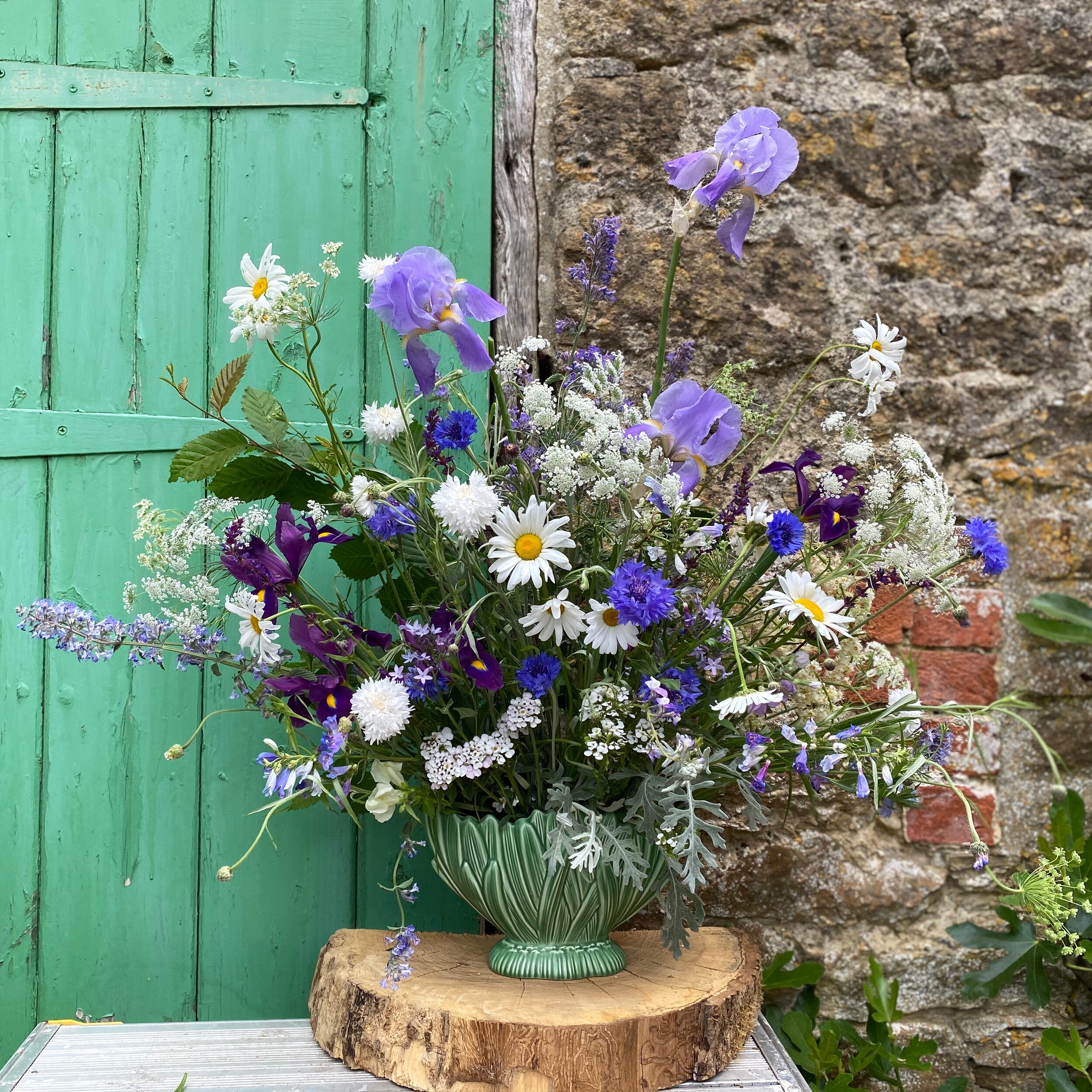 All the blues for early Summer