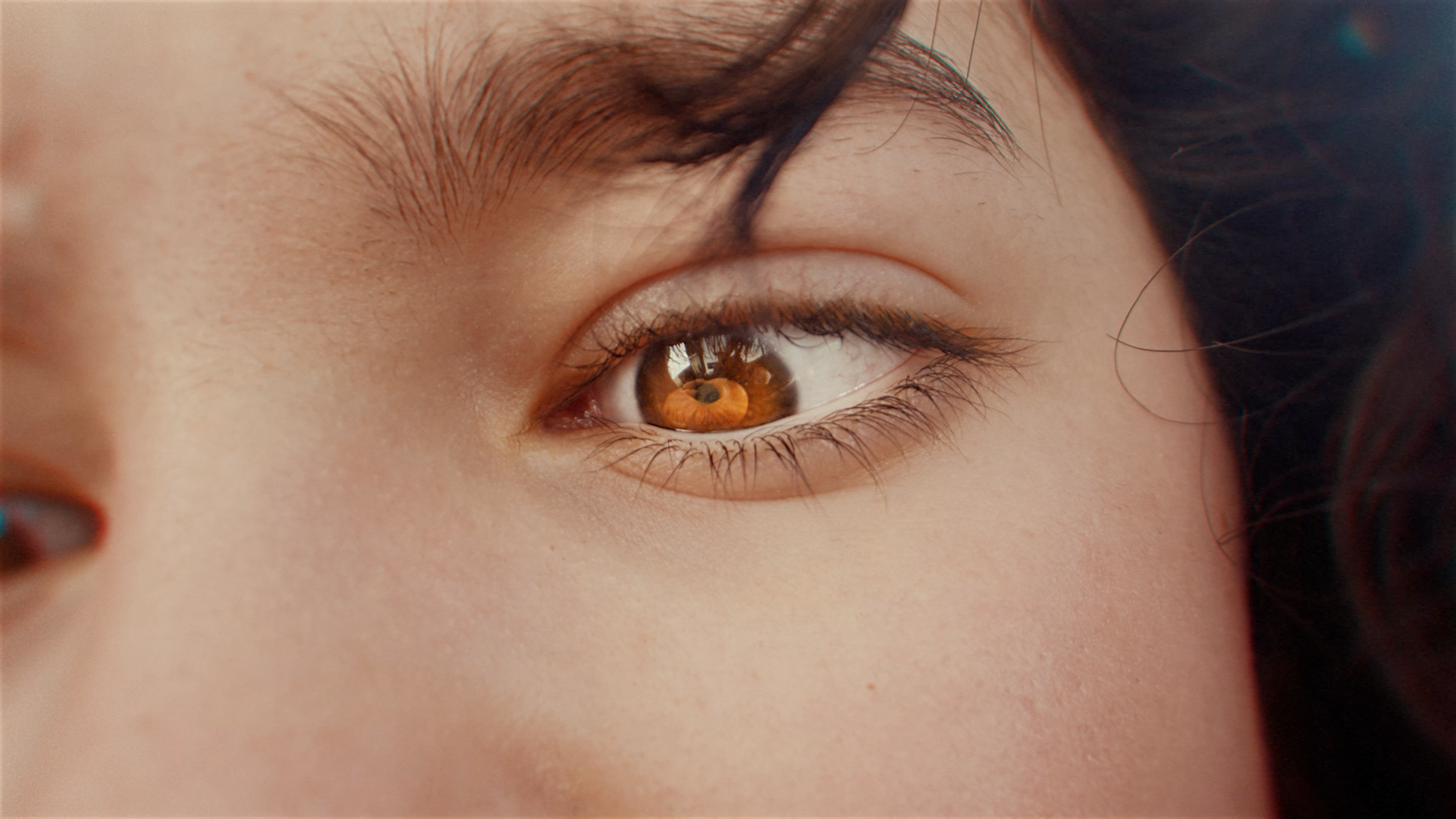 New York Bakery | Bakes You There