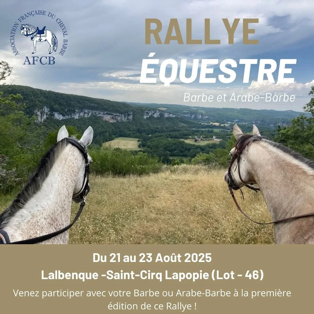 Rallye Equestre Barbe et Arabe-Barbe
