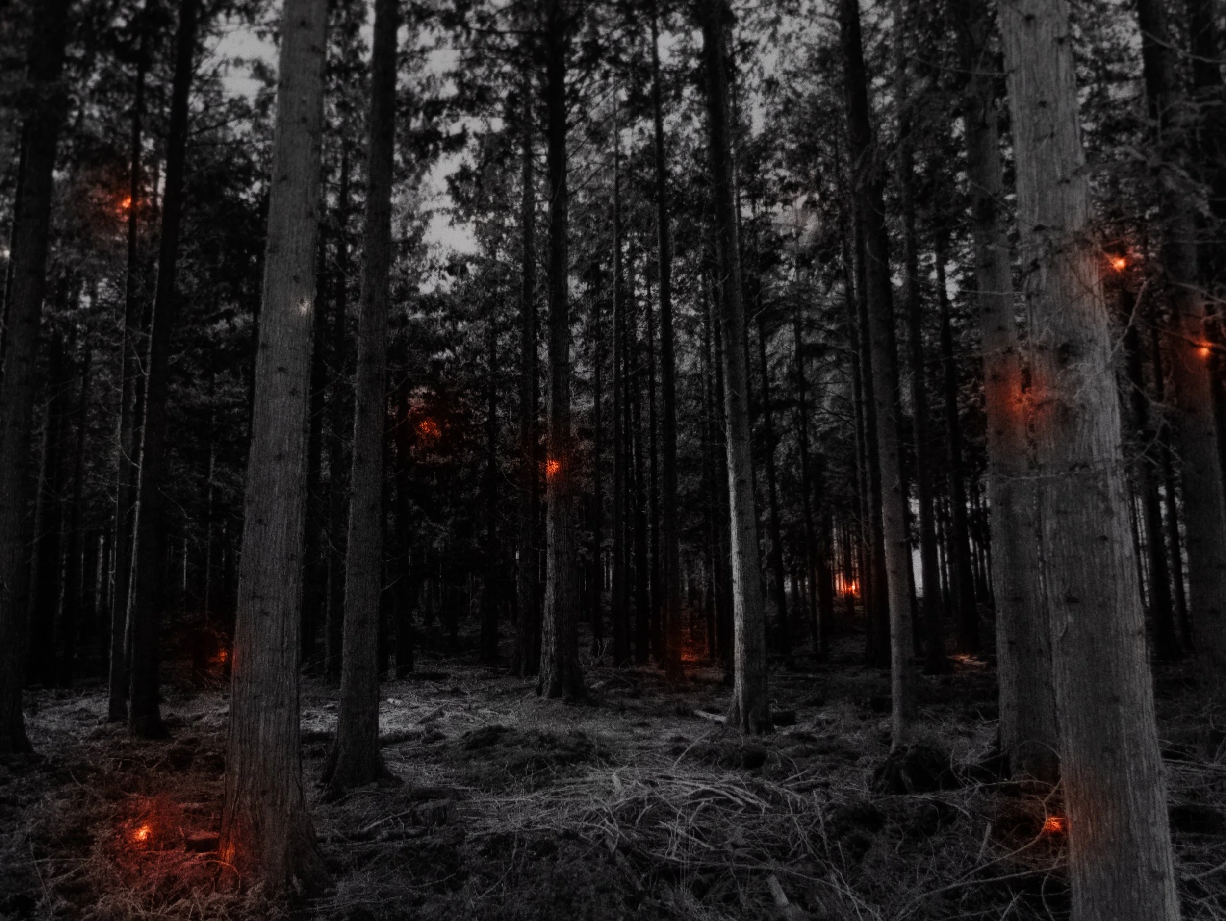 I Know This Much Is True