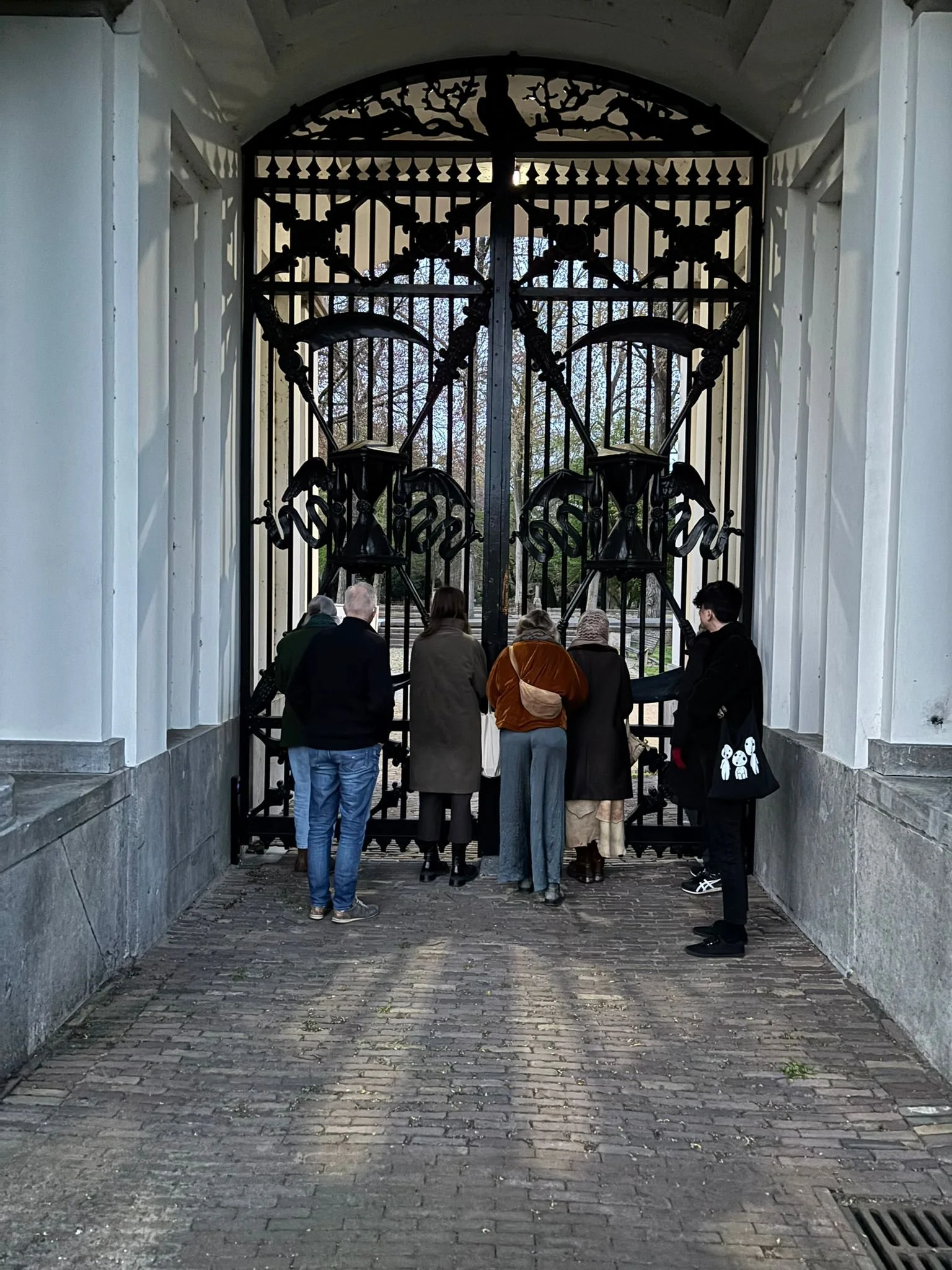 WhatsApp Image 2026-04-11 at 9.10.27 AM.jpeg