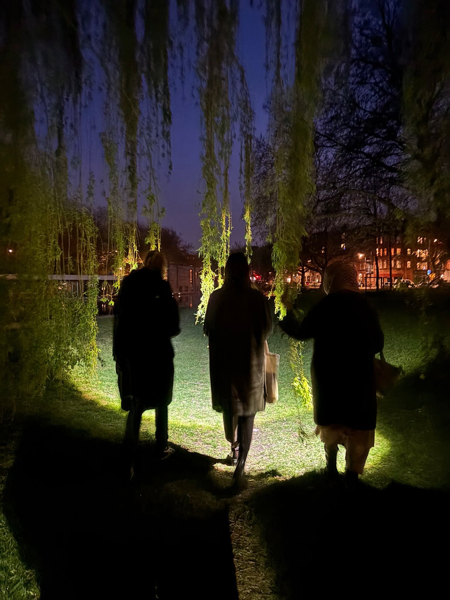 WhatsApp Image 2026-04-11 at 9.09.32 AM.jpeg