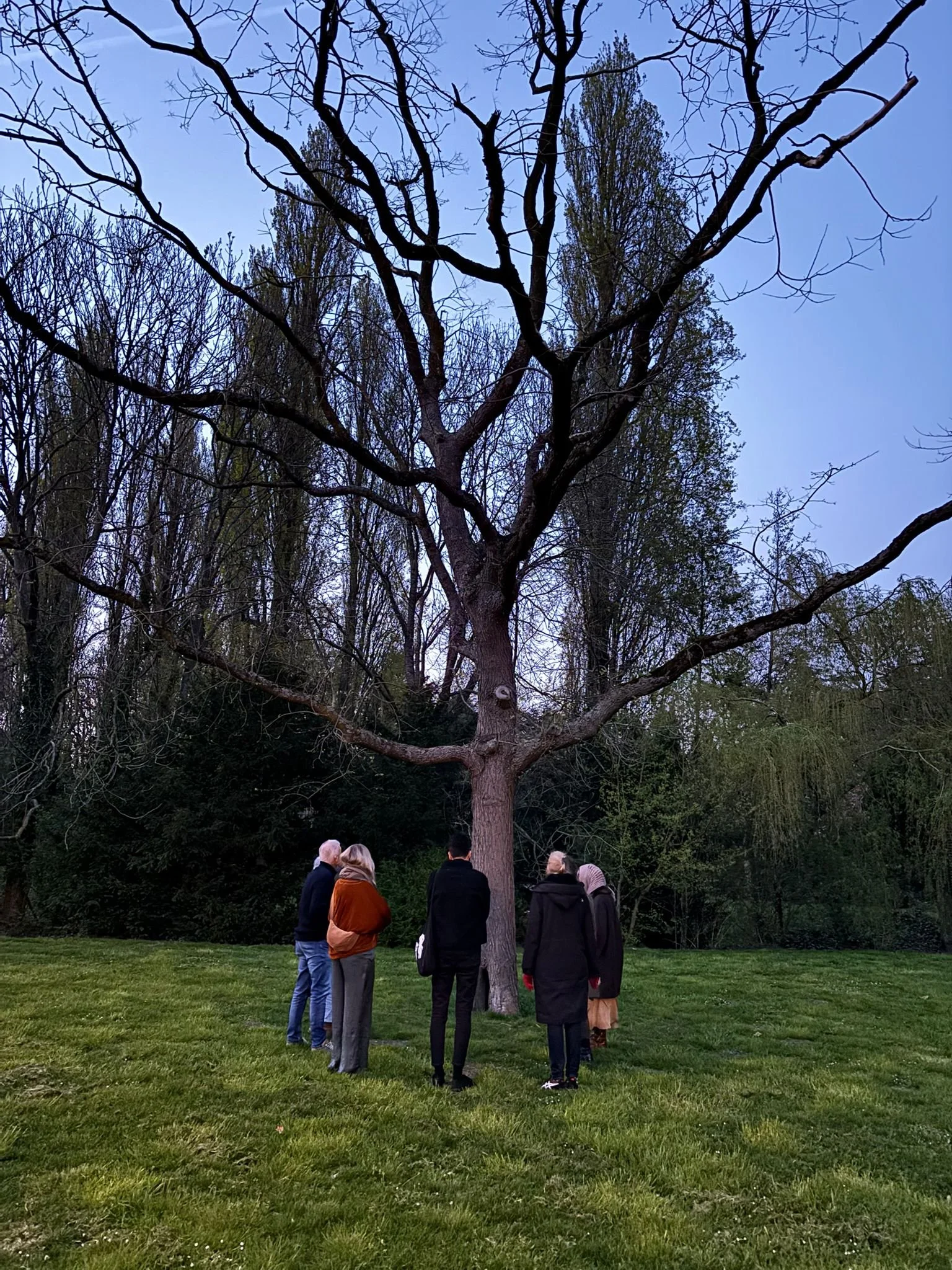 WhatsApp Image 2026-04-11 at 9.10.02 AM.jpeg