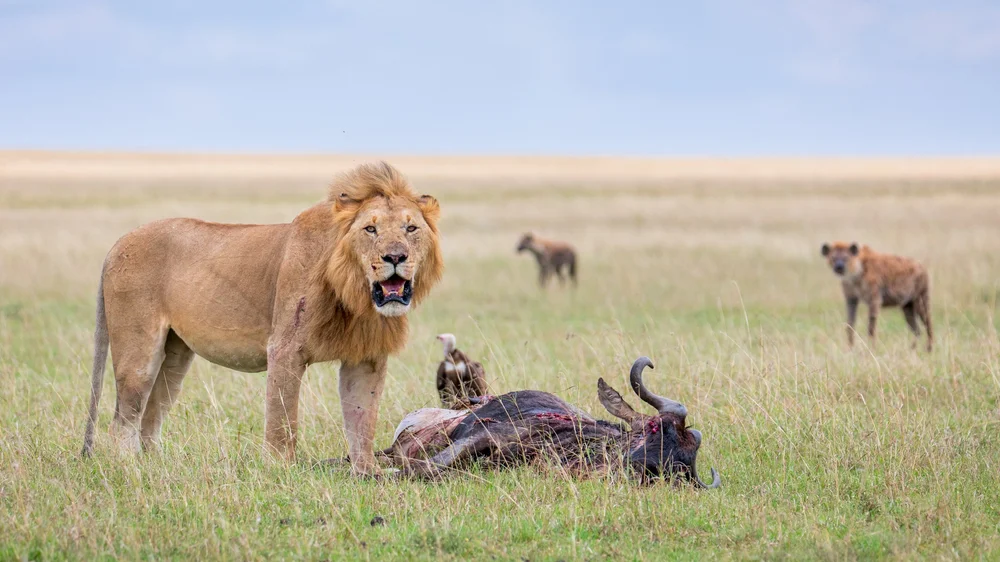 Full Size-1Y6A3485.jpg