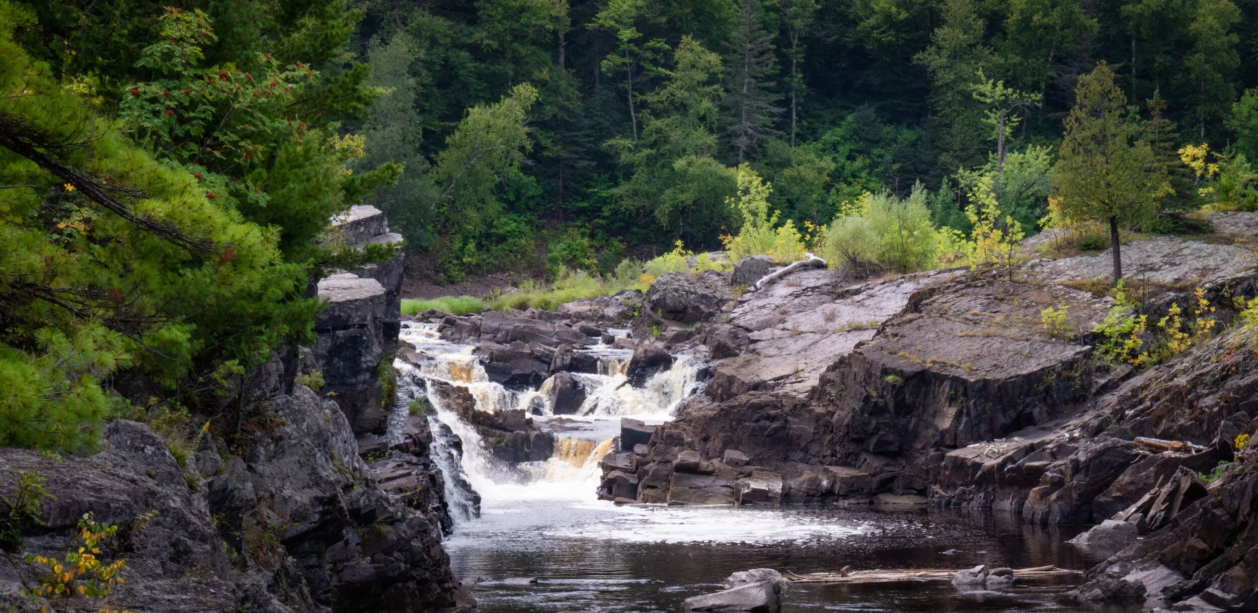 A rocky creek with small waterfalls flowing through a forested area with green trees