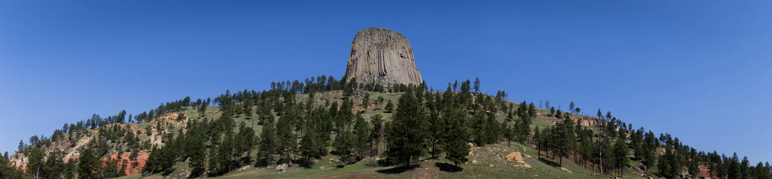 A large, tall, rounded mountain with vertical striations, surrounded by green pine trees, under a clear blue sky.