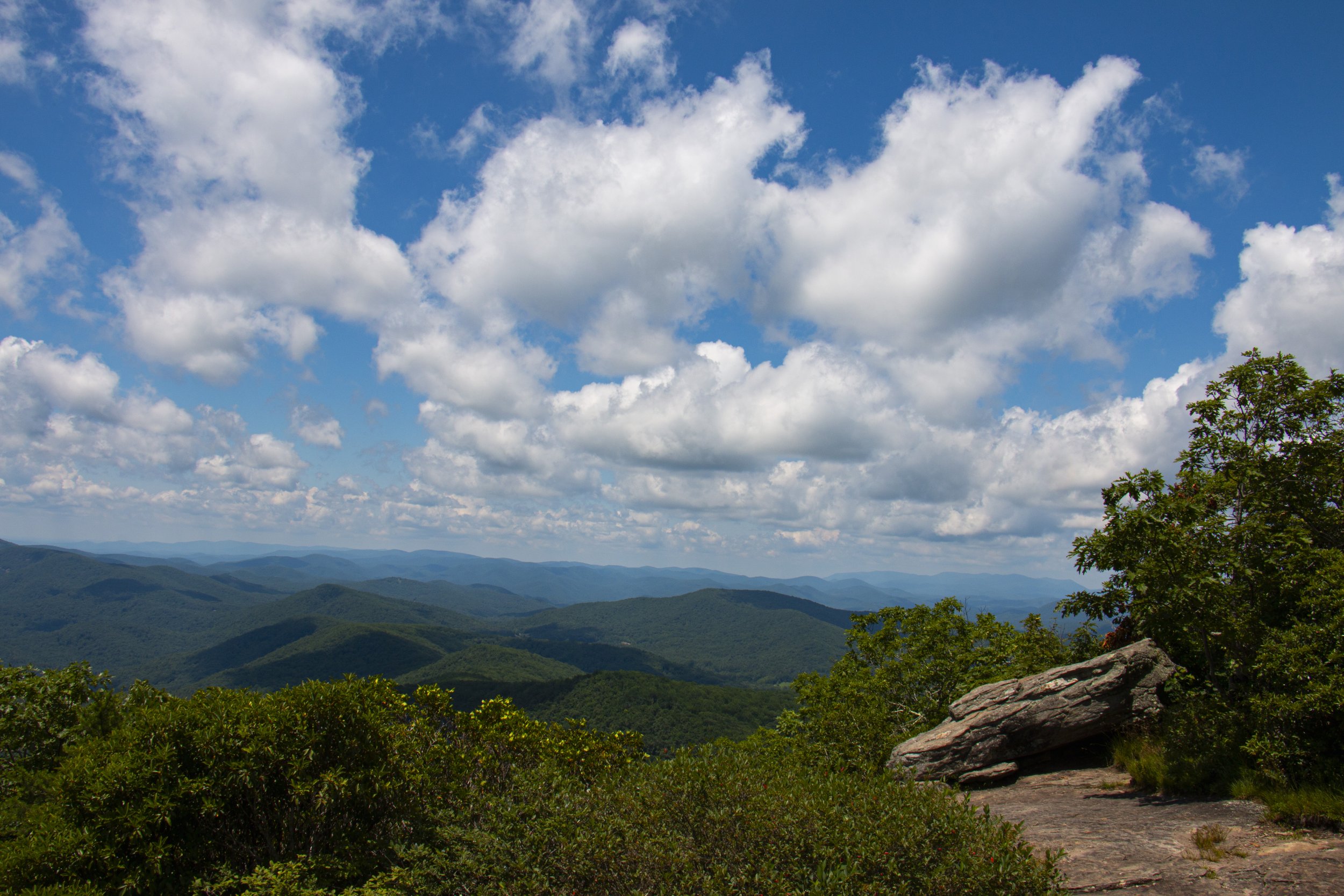 _MG_9829.JPG