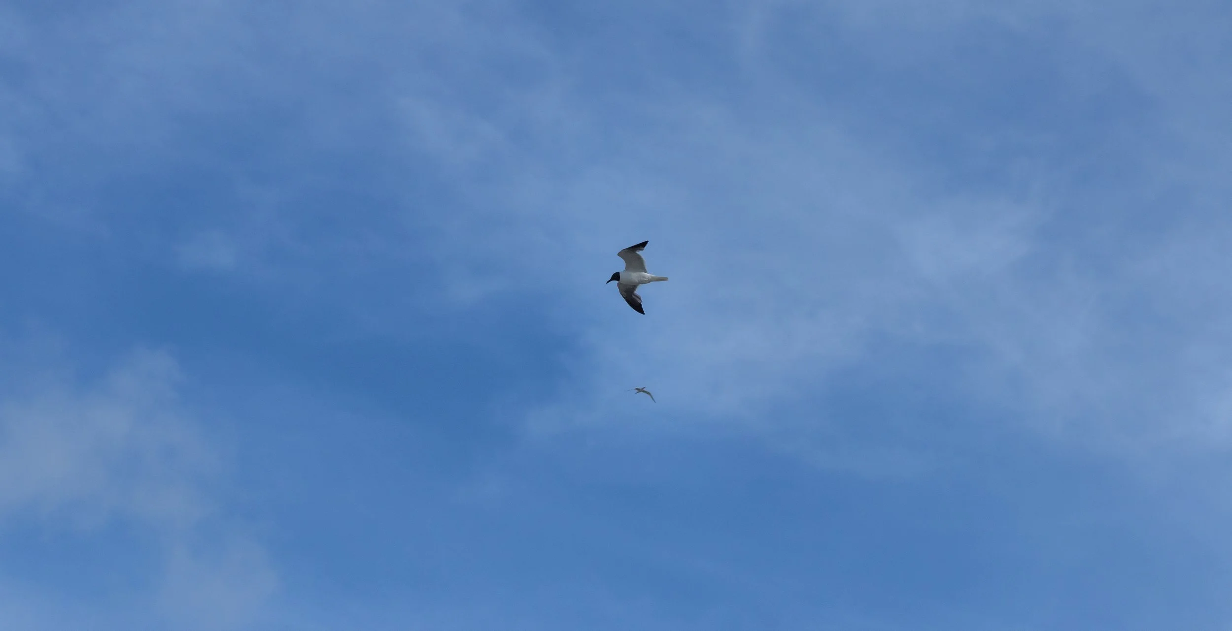 _MG_6969.jpg