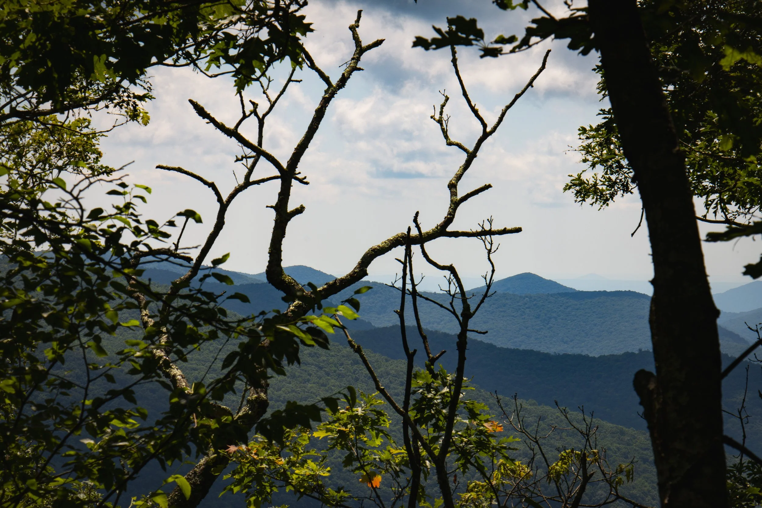 _MG_9797.JPG