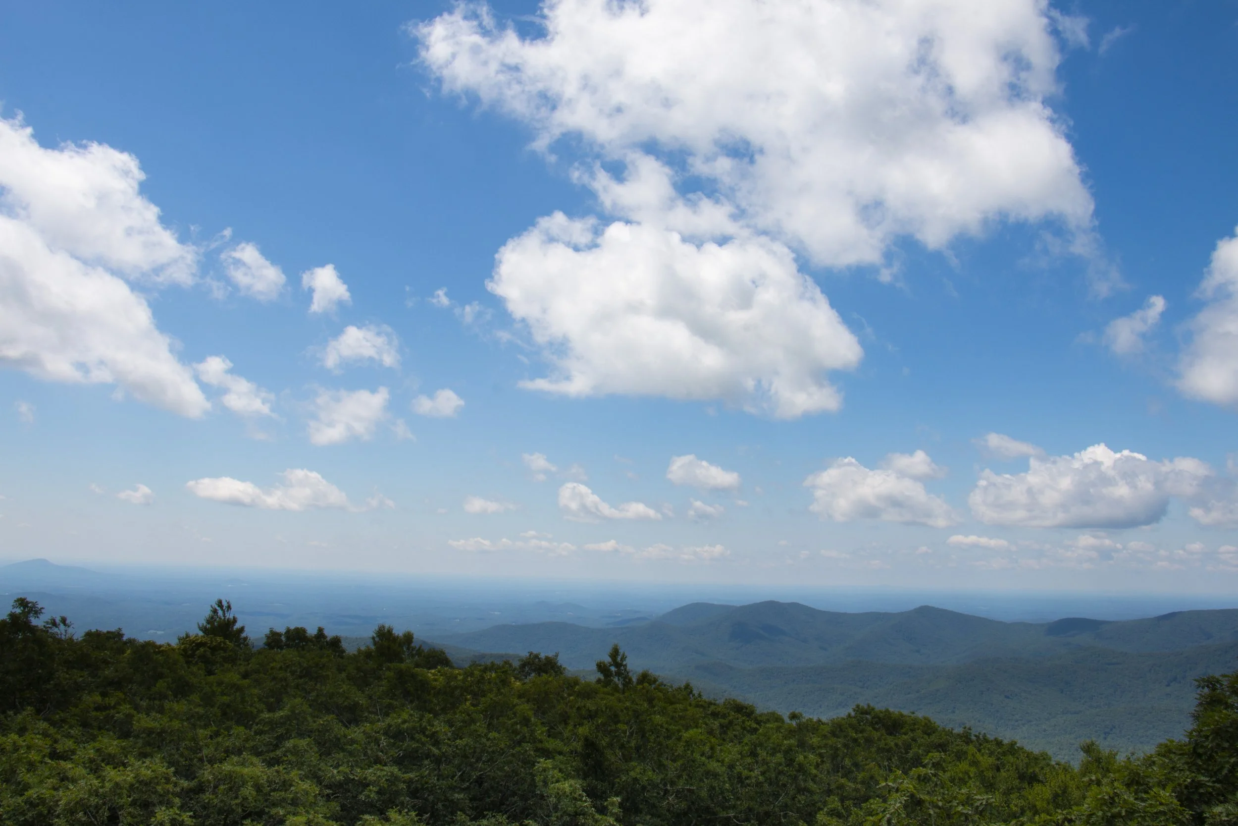 _MG_9805.JPG