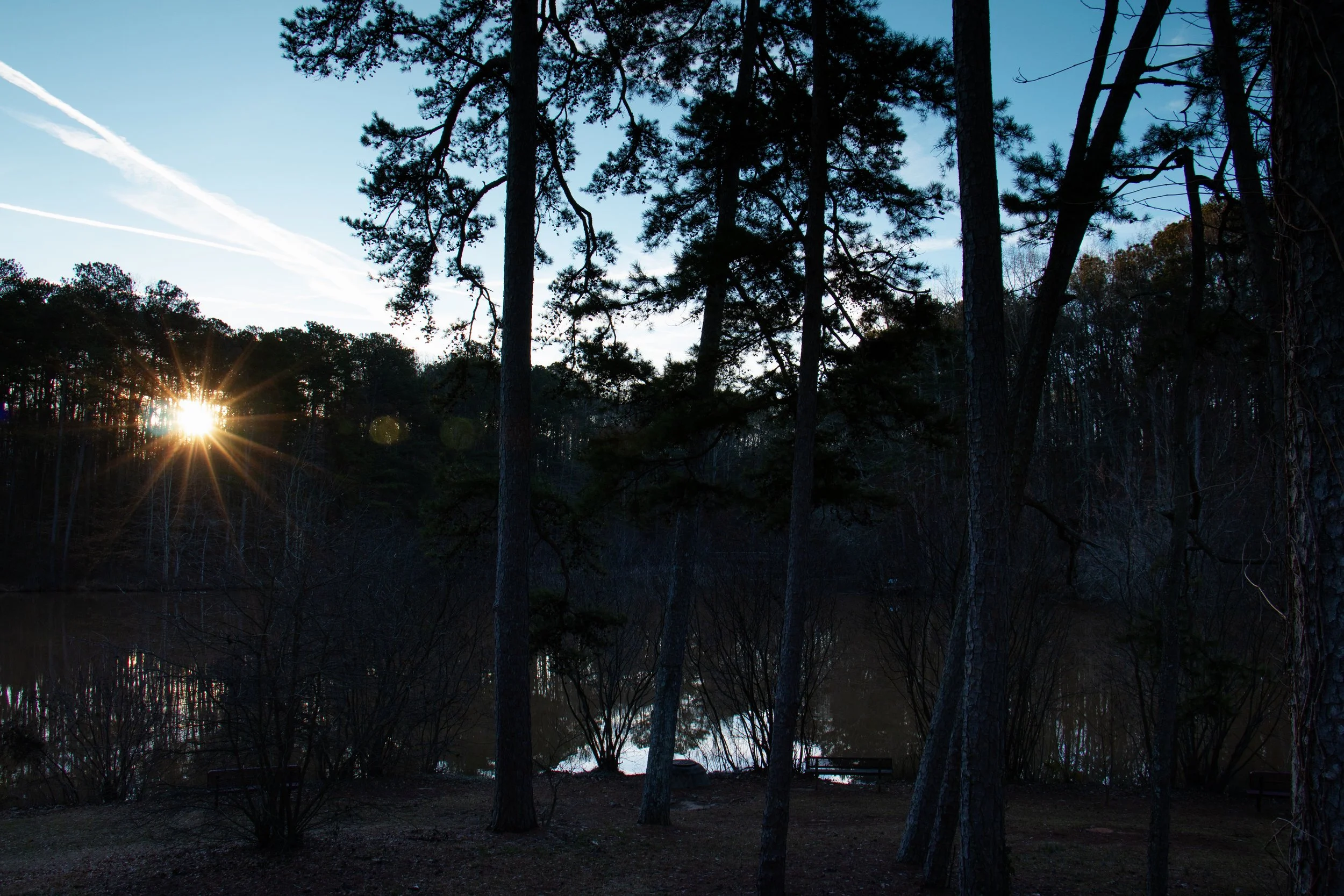 _MG_4411.jpg