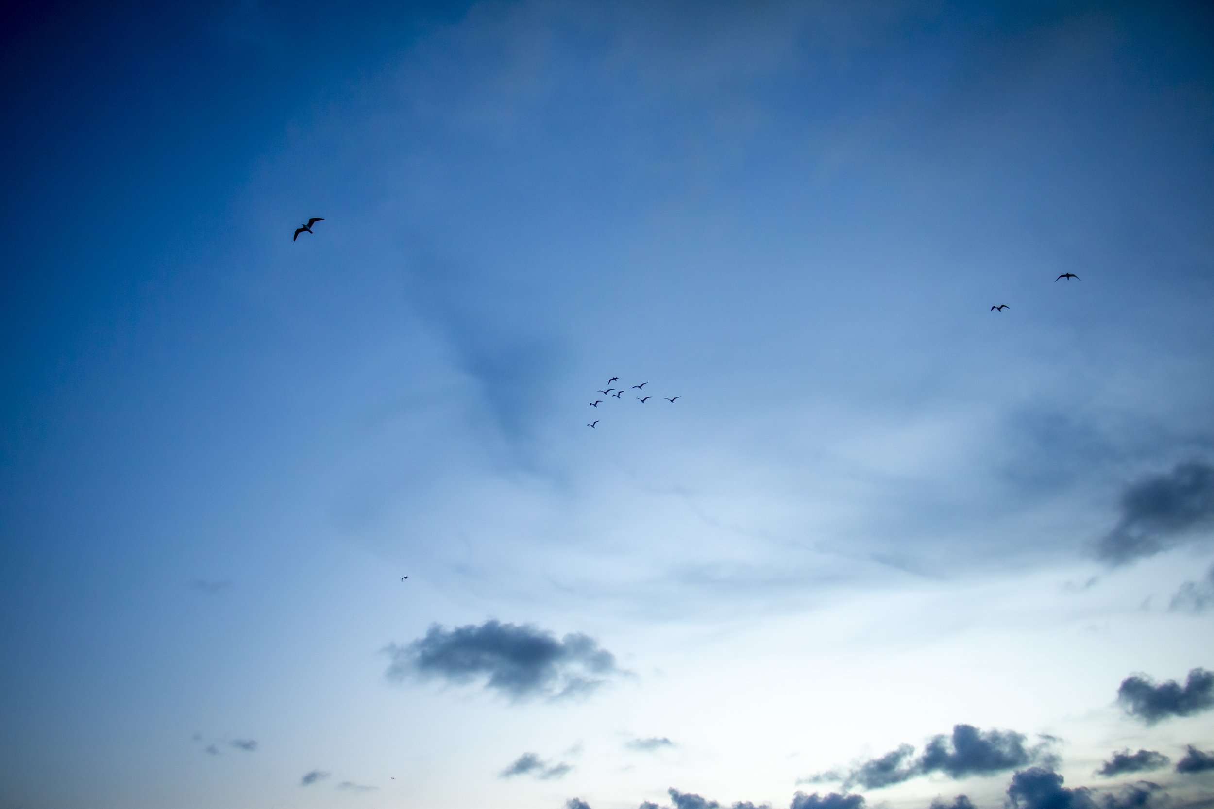_MG_6829.jpg
