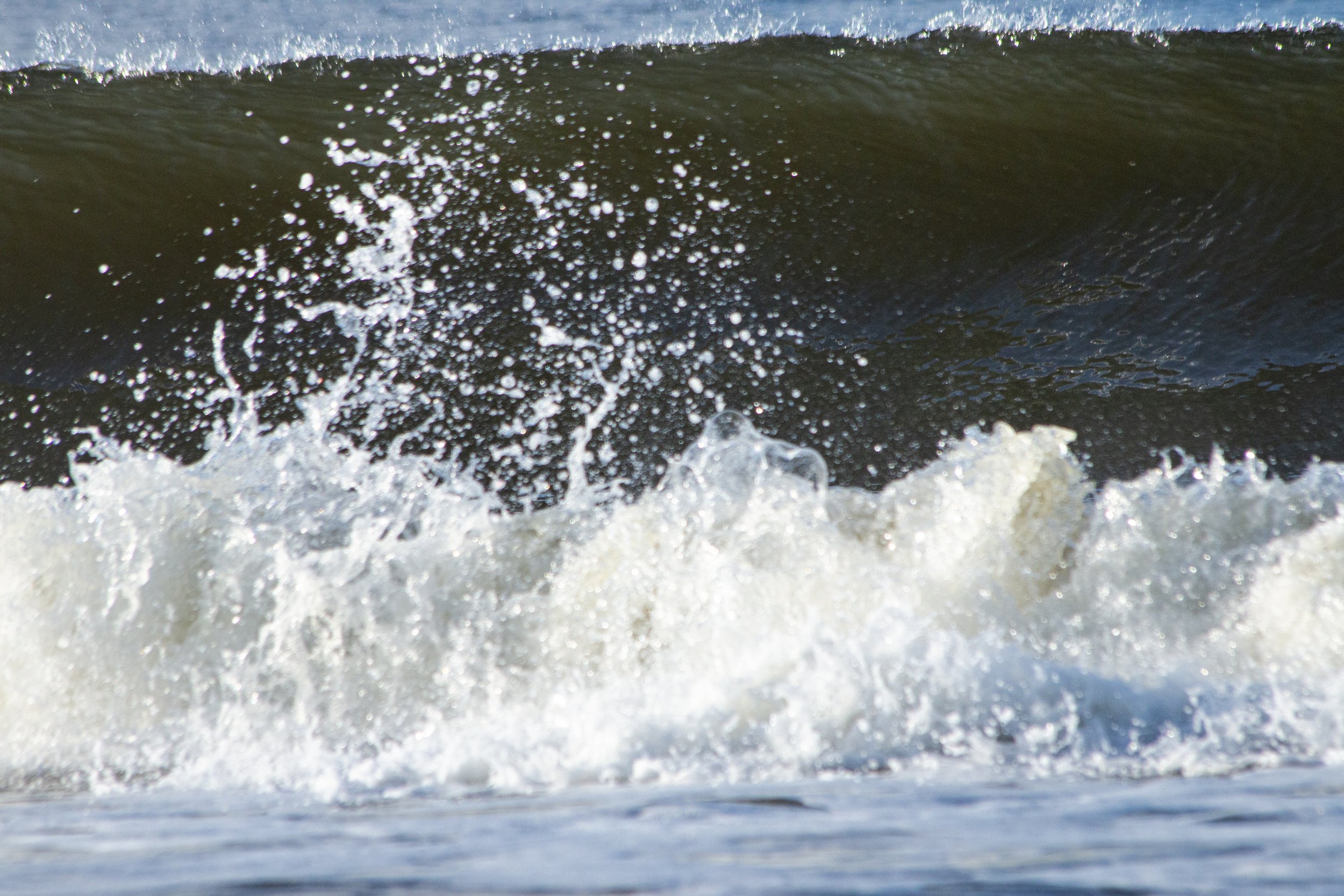 _MG_6712.jpg
