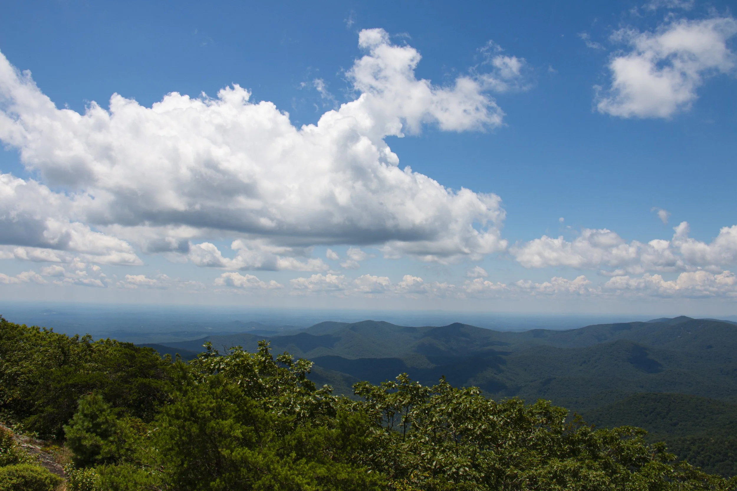 _MG_9827.JPG