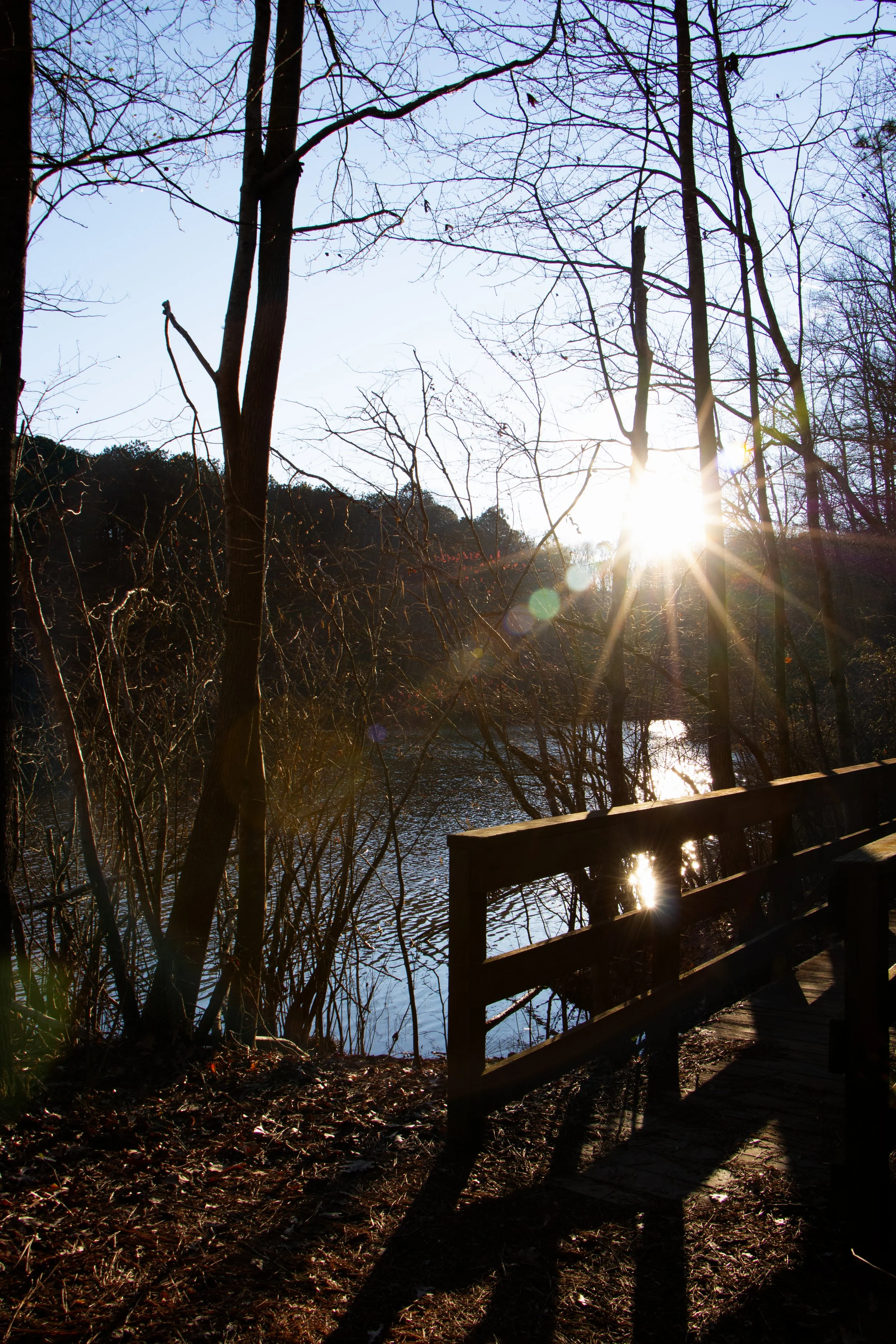 _MG_4390.jpg